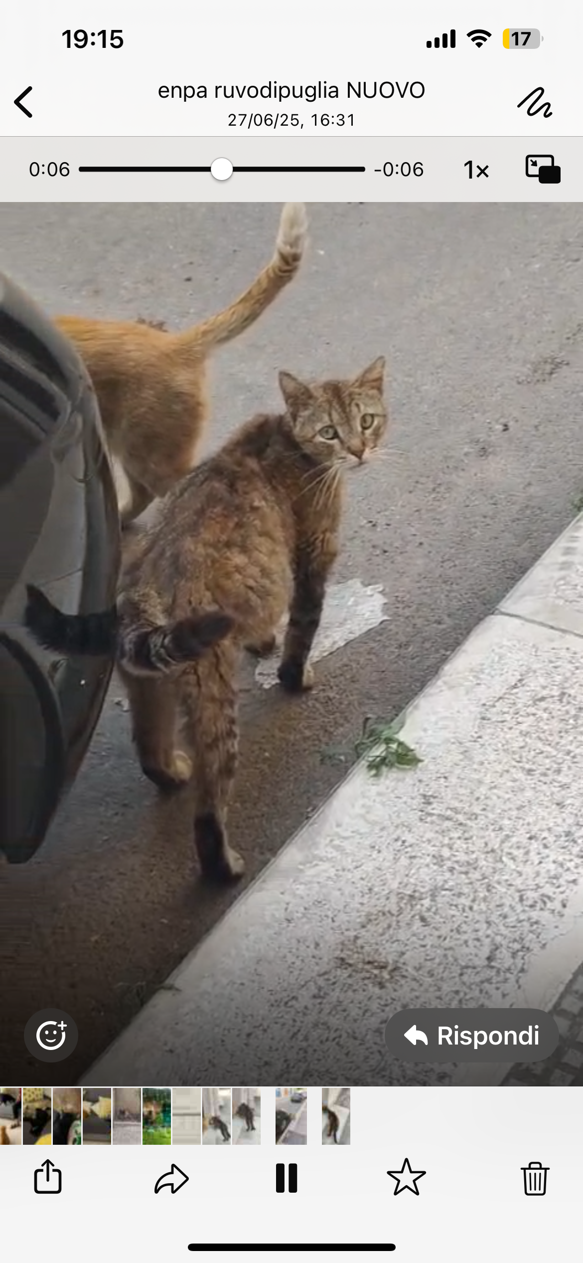 Immagine caricata dall'utente 1