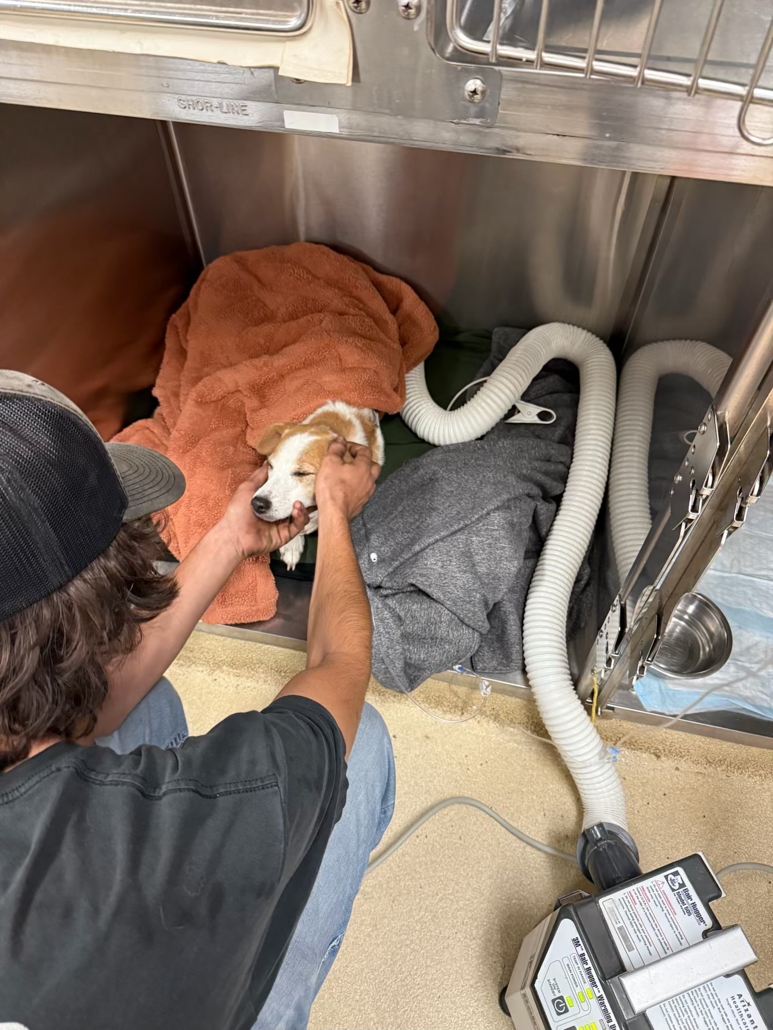 Help Marsha Get Urgent Veterinary Care campaign photo, 7 of 8