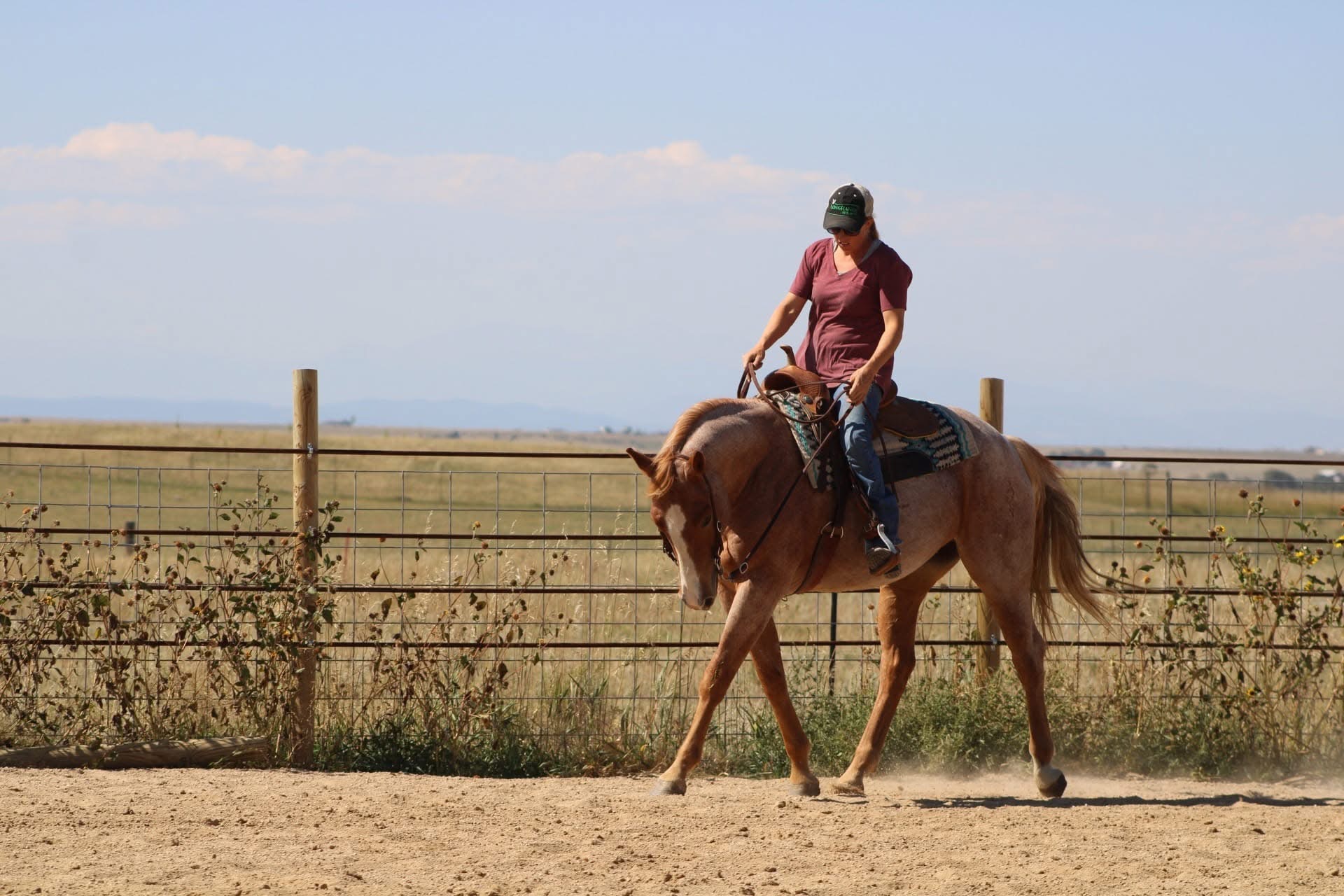 Help Brittnee Recover from Pelvic Fractures campaign photo, 5 of 8