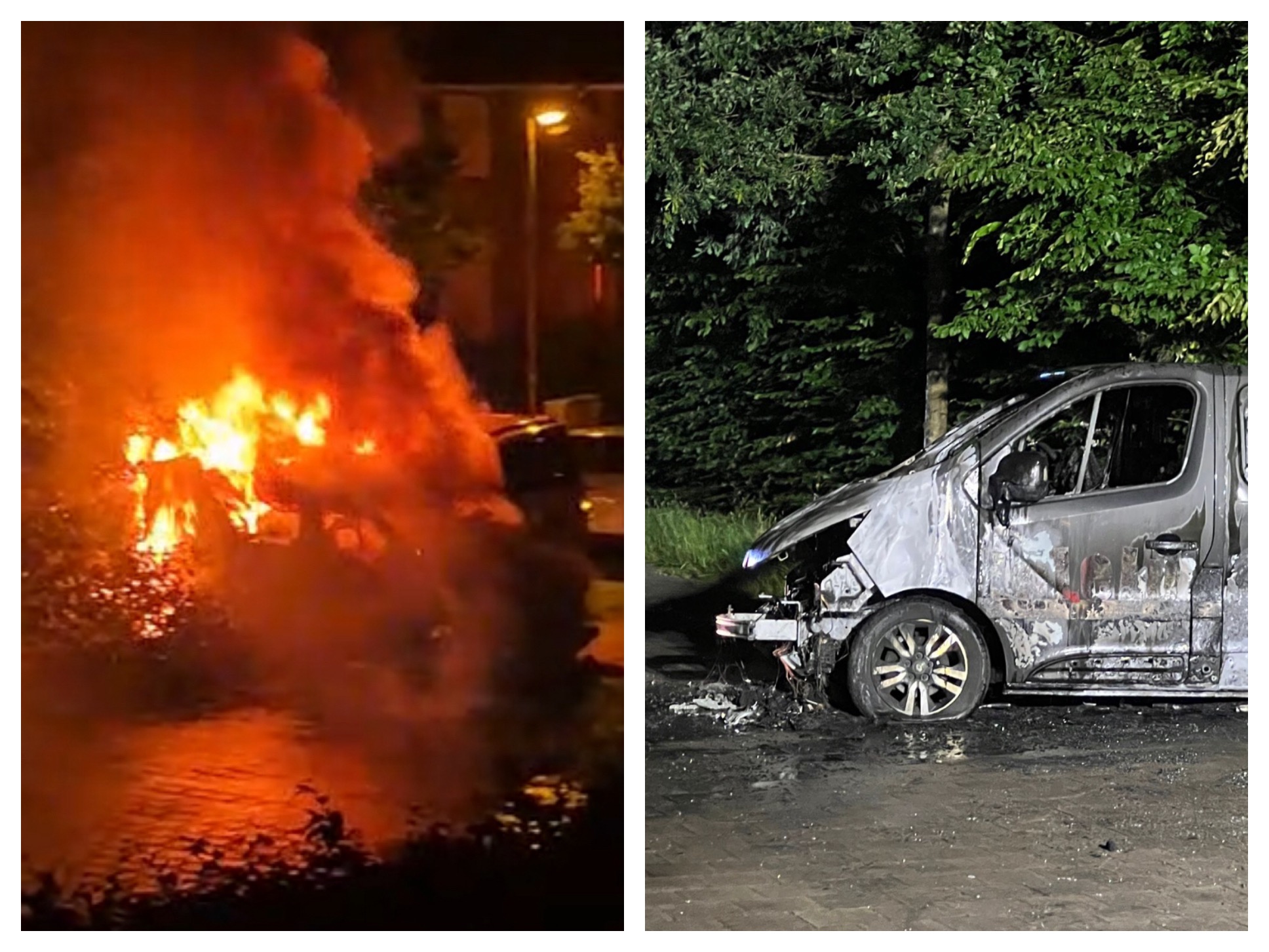 User-uploaded image 1