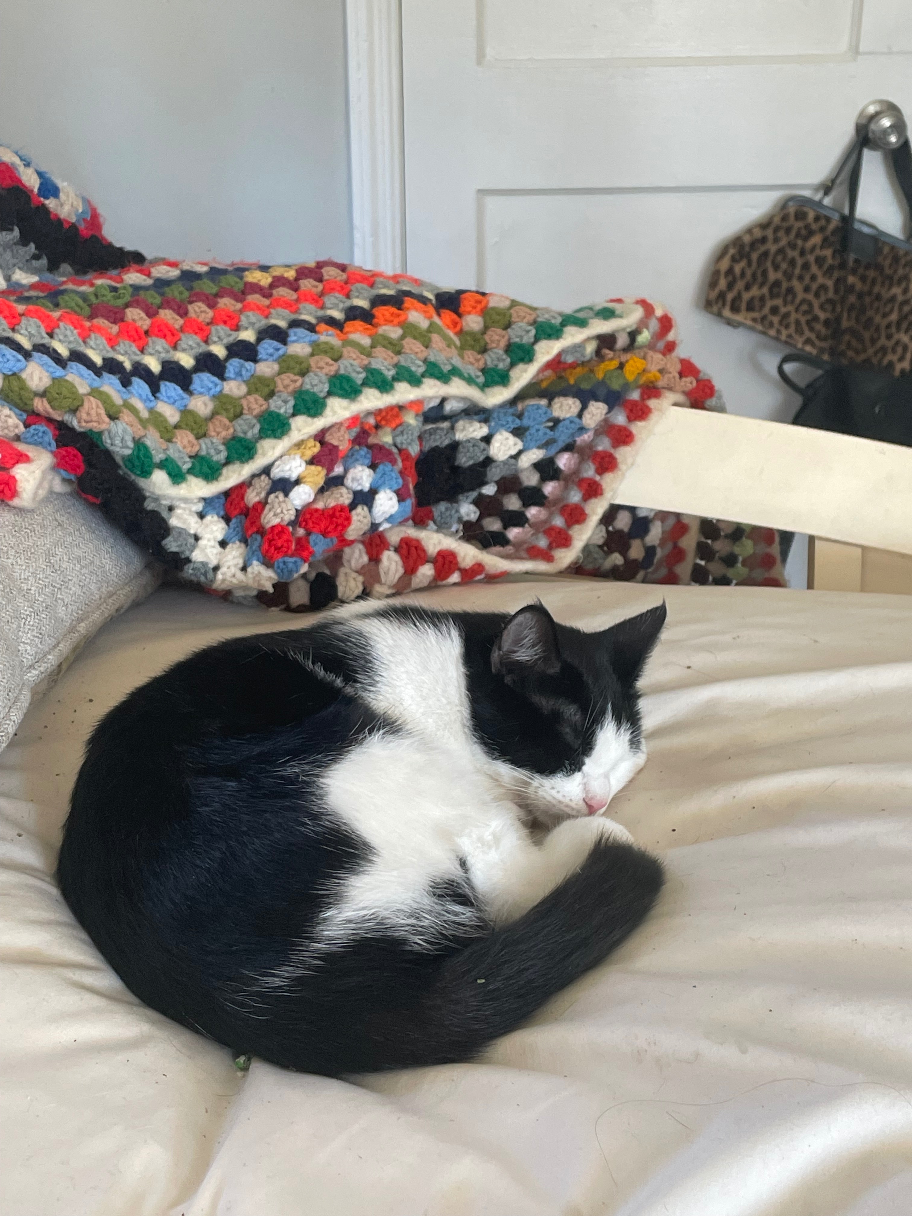 User-uploaded image 2