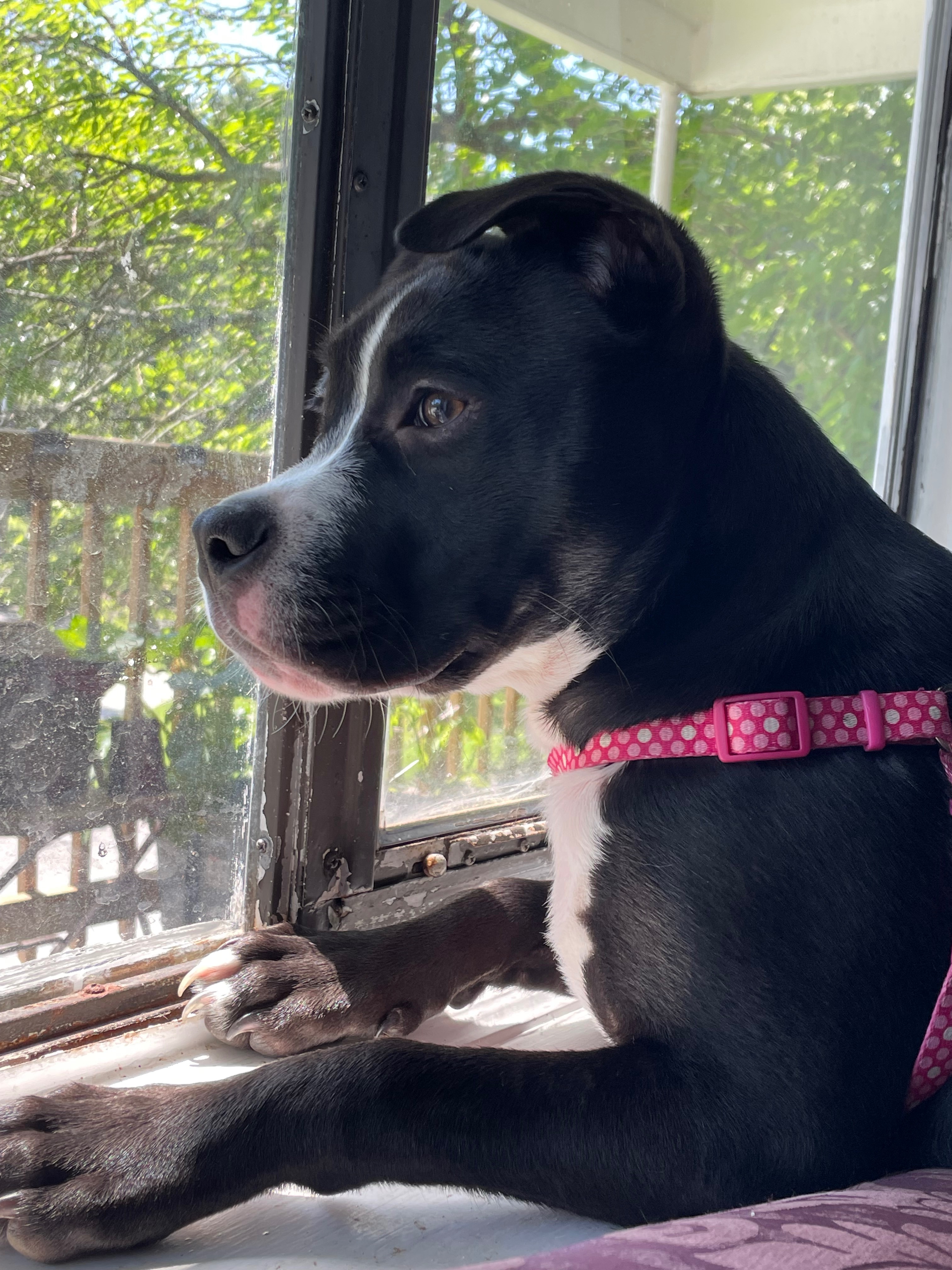 User-uploaded image 3