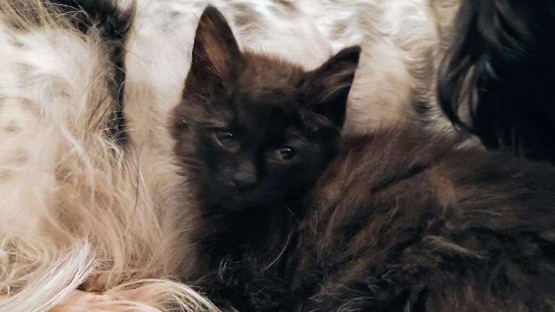 "The men who hurt me, still drive past my front door." photo