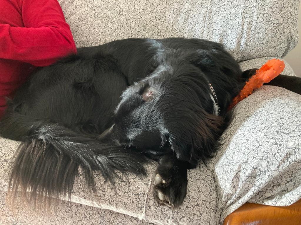 User-uploaded image 1