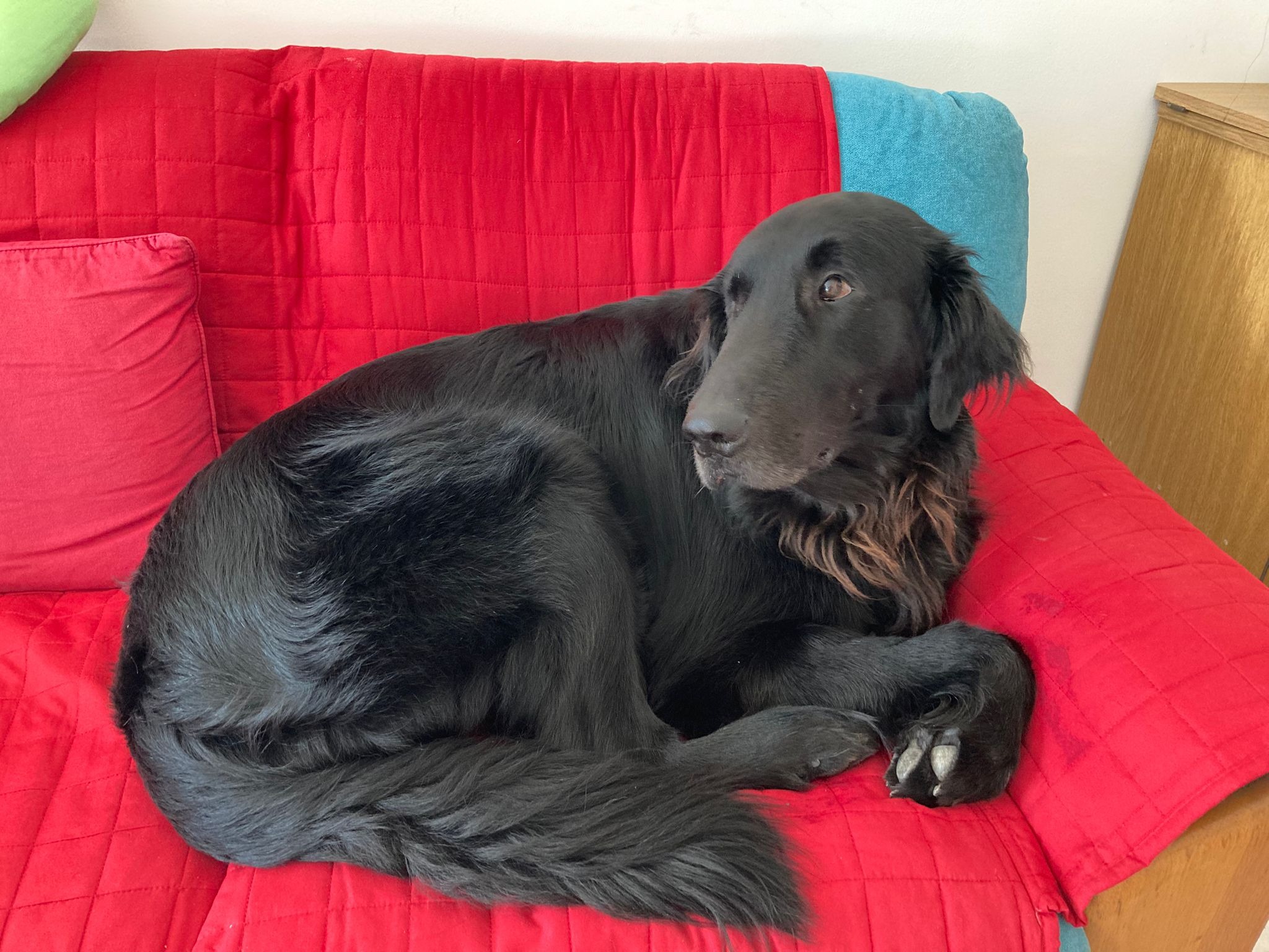 User-uploaded image 2