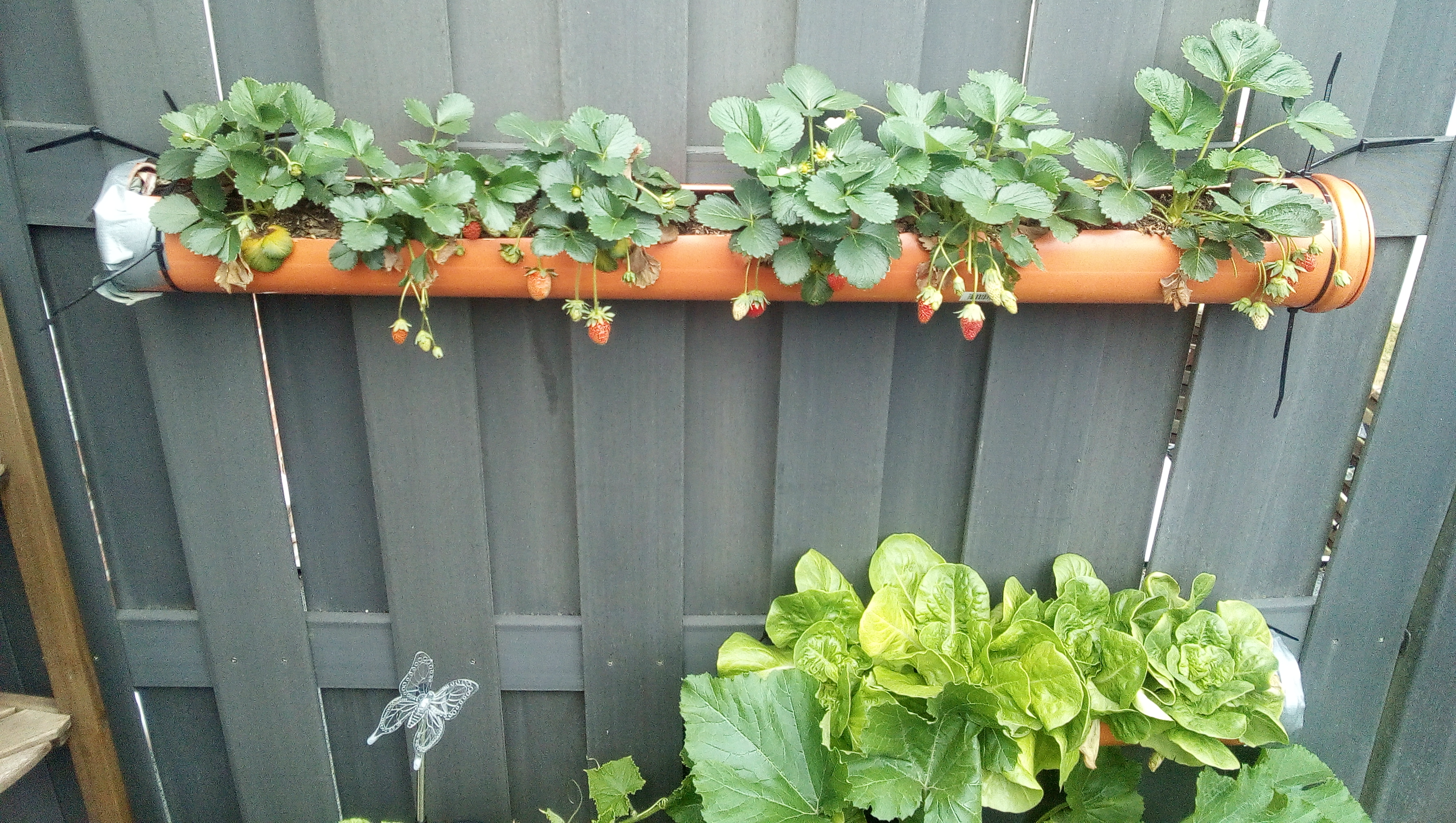 Nachhaltiges Selbstversorger Projekt photo