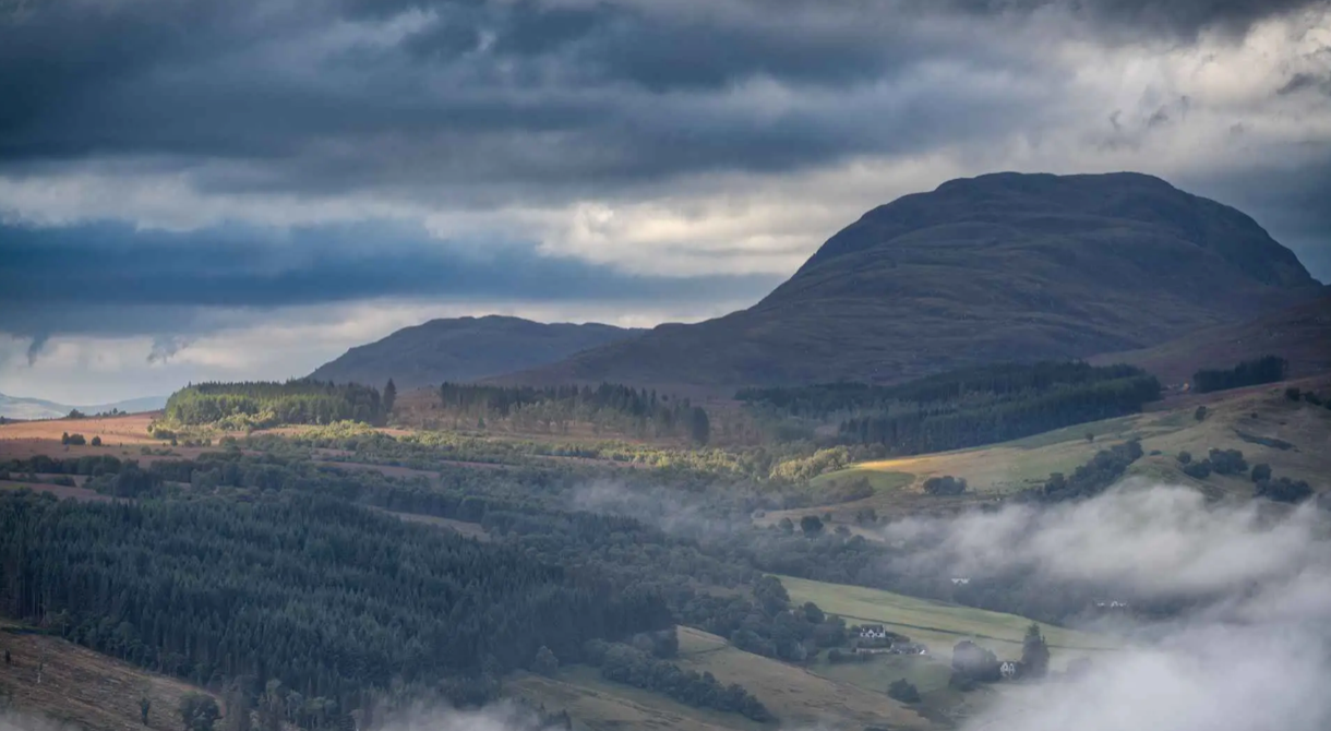 User-uploaded image 1