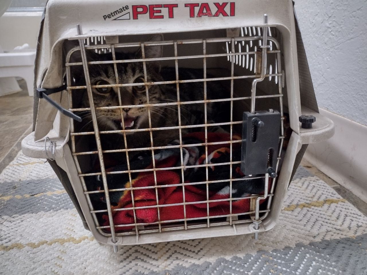 User-uploaded image 1