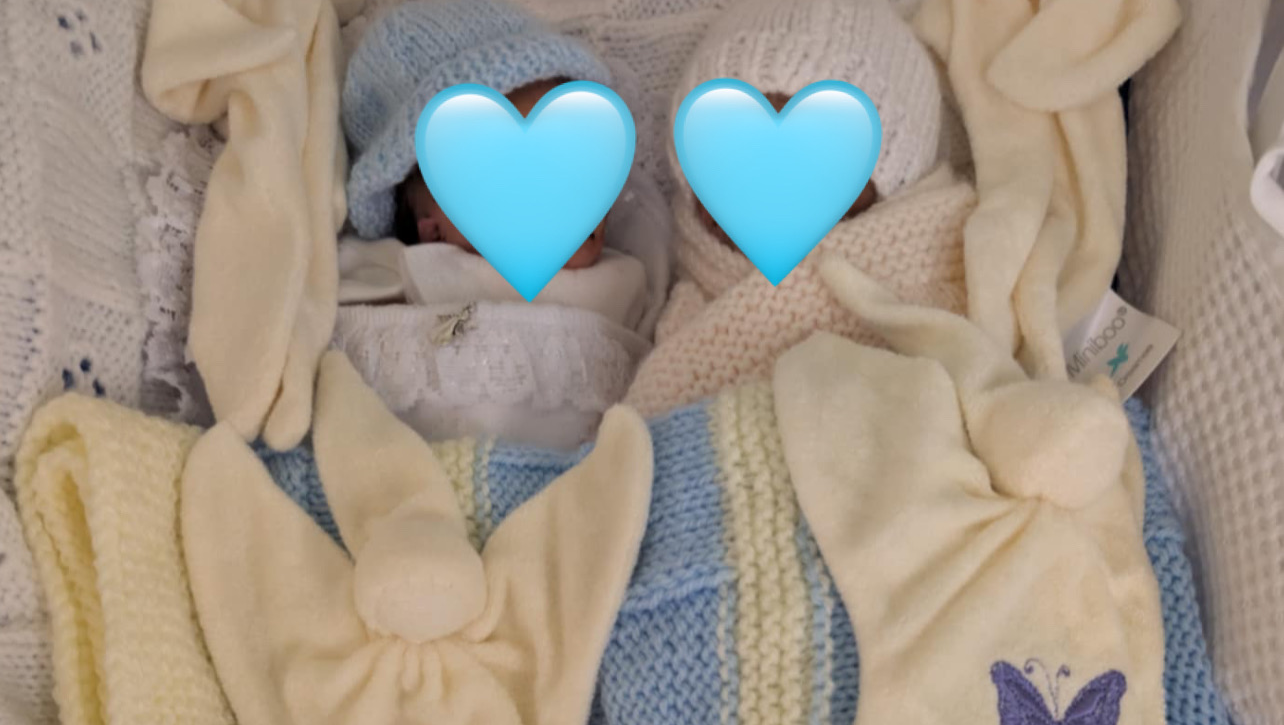 Arlo John & Theodore Kester Johnston pinned link photo