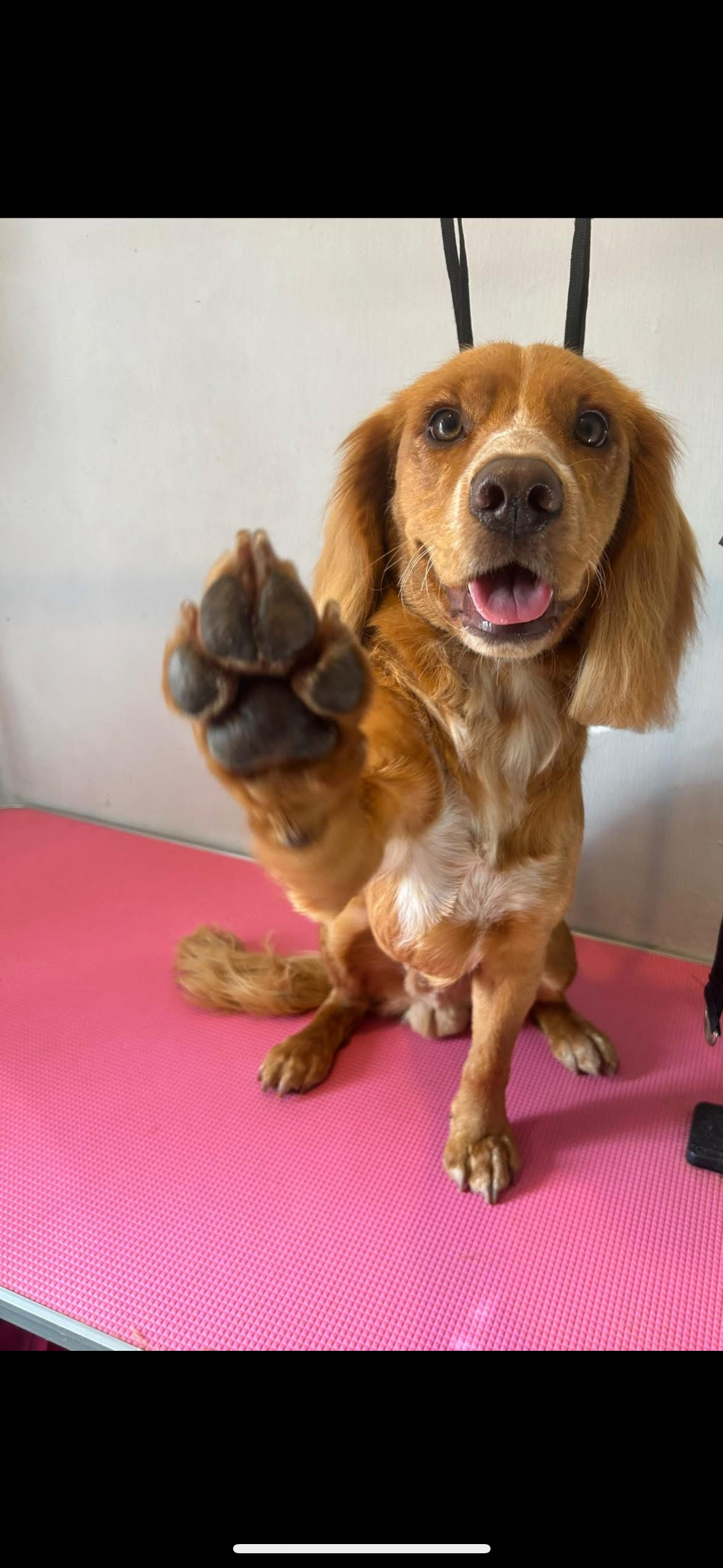 User-uploaded image 3