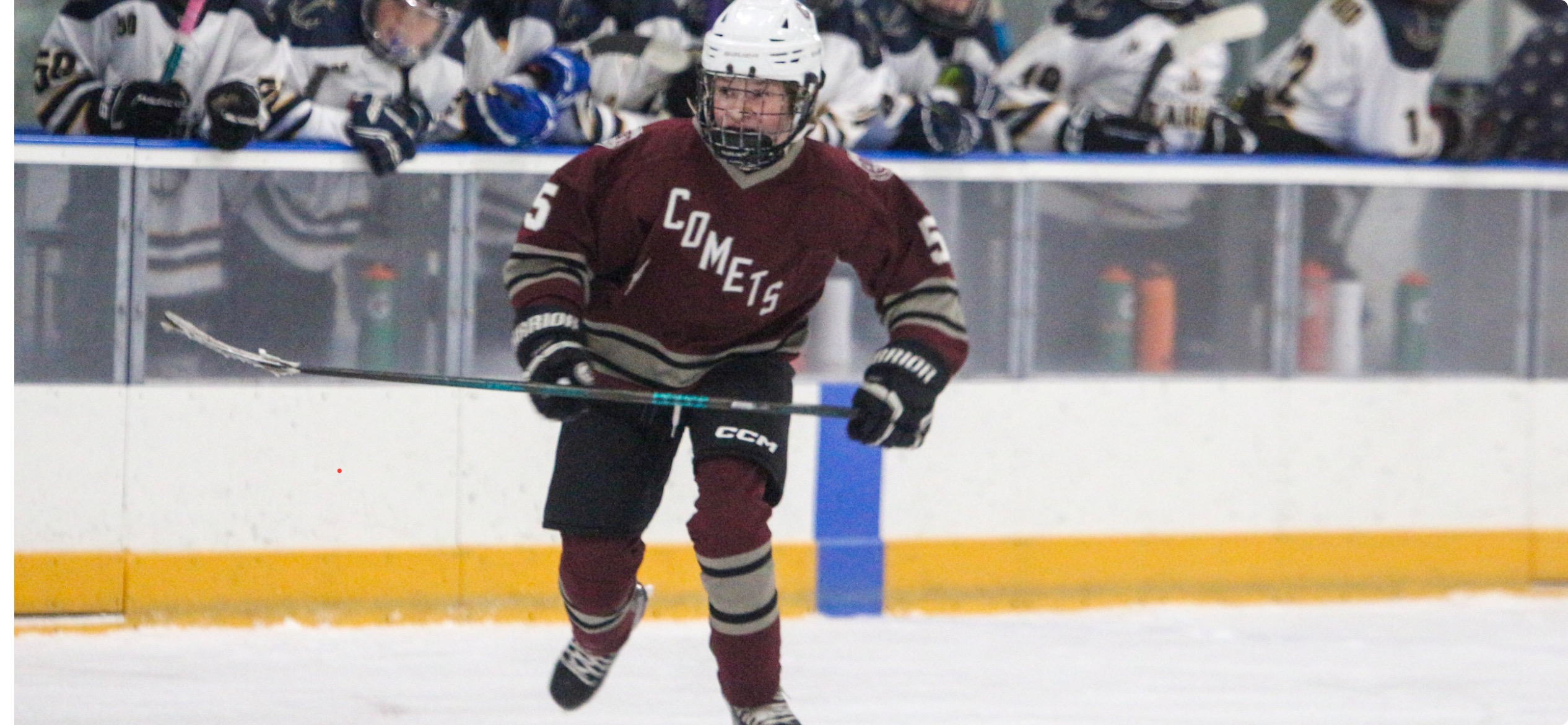 User-uploaded image 1