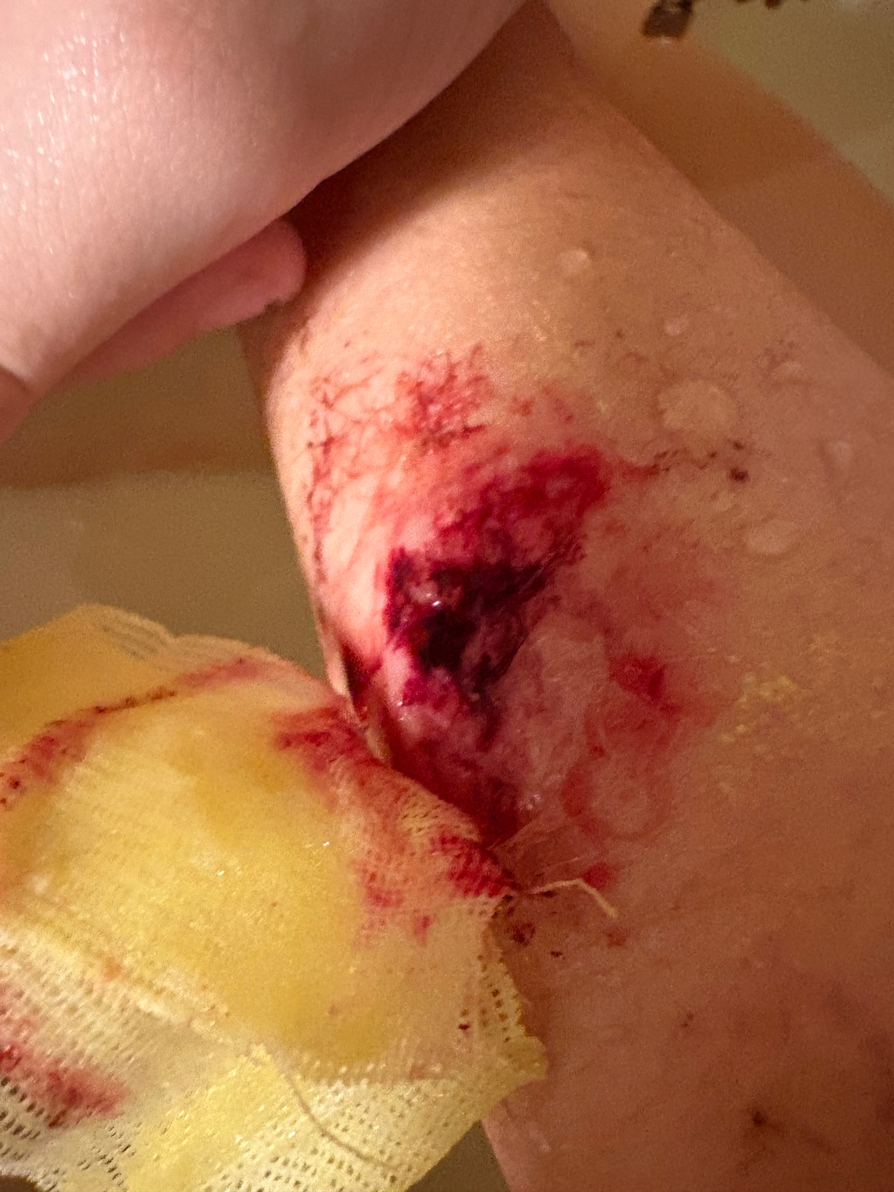 User-uploaded image 1