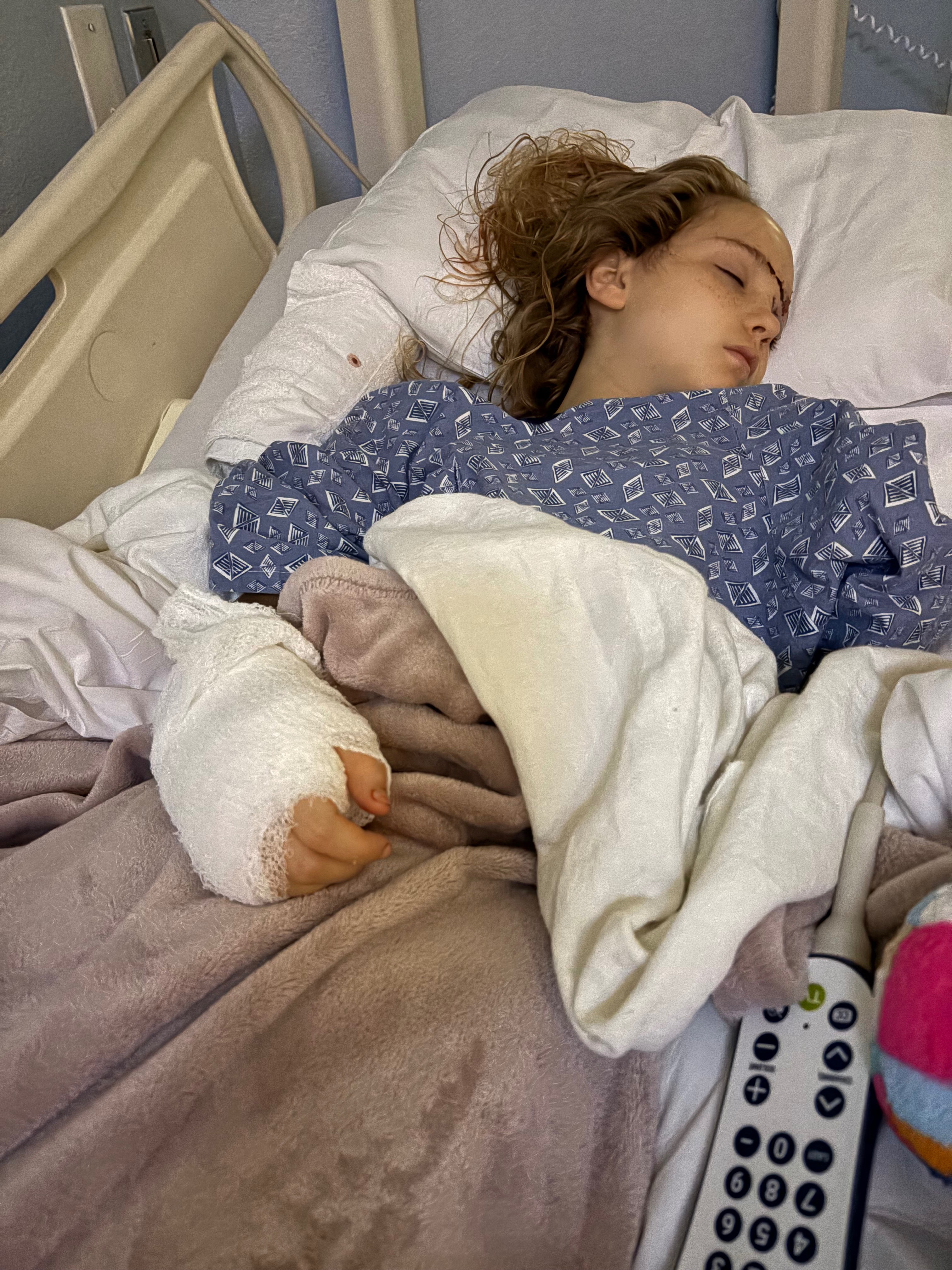 User-uploaded image 2