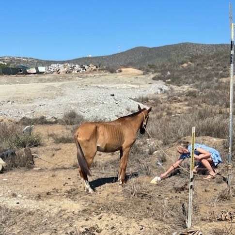 User-uploaded image 1