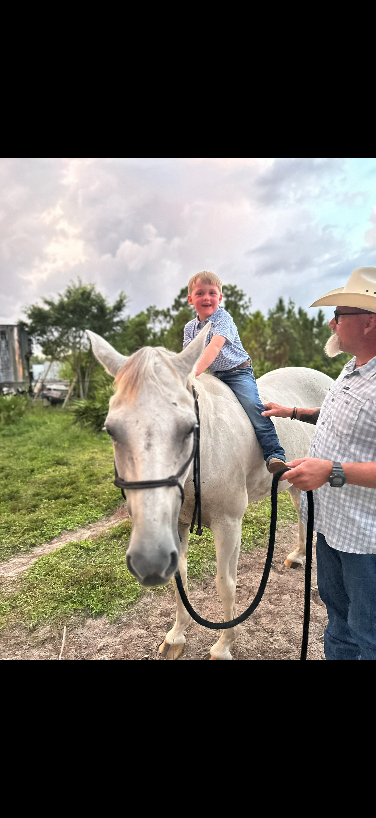 Help Us Care for Dad’s Horses & Manage Unexpected Costs campaign photo, 7 of 8
