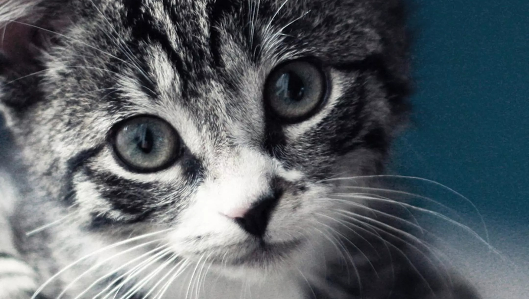 Ayuda para pagar una deuda photo