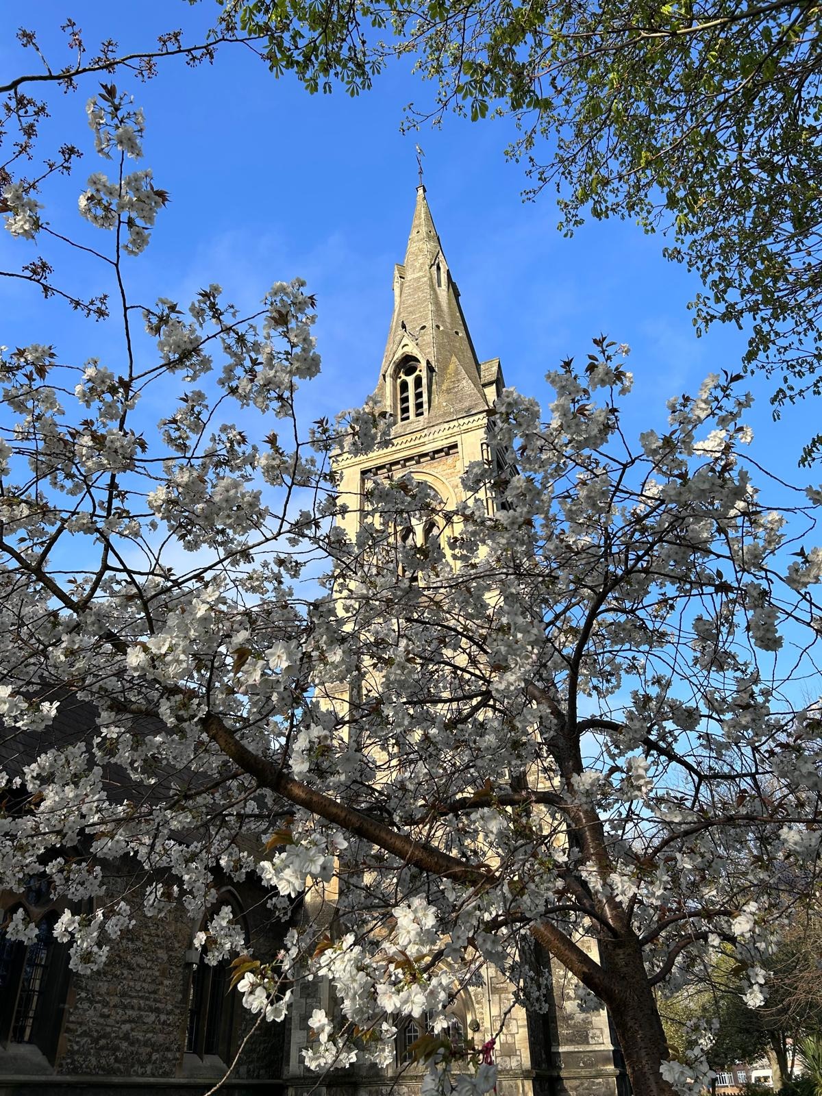 User-uploaded image 1