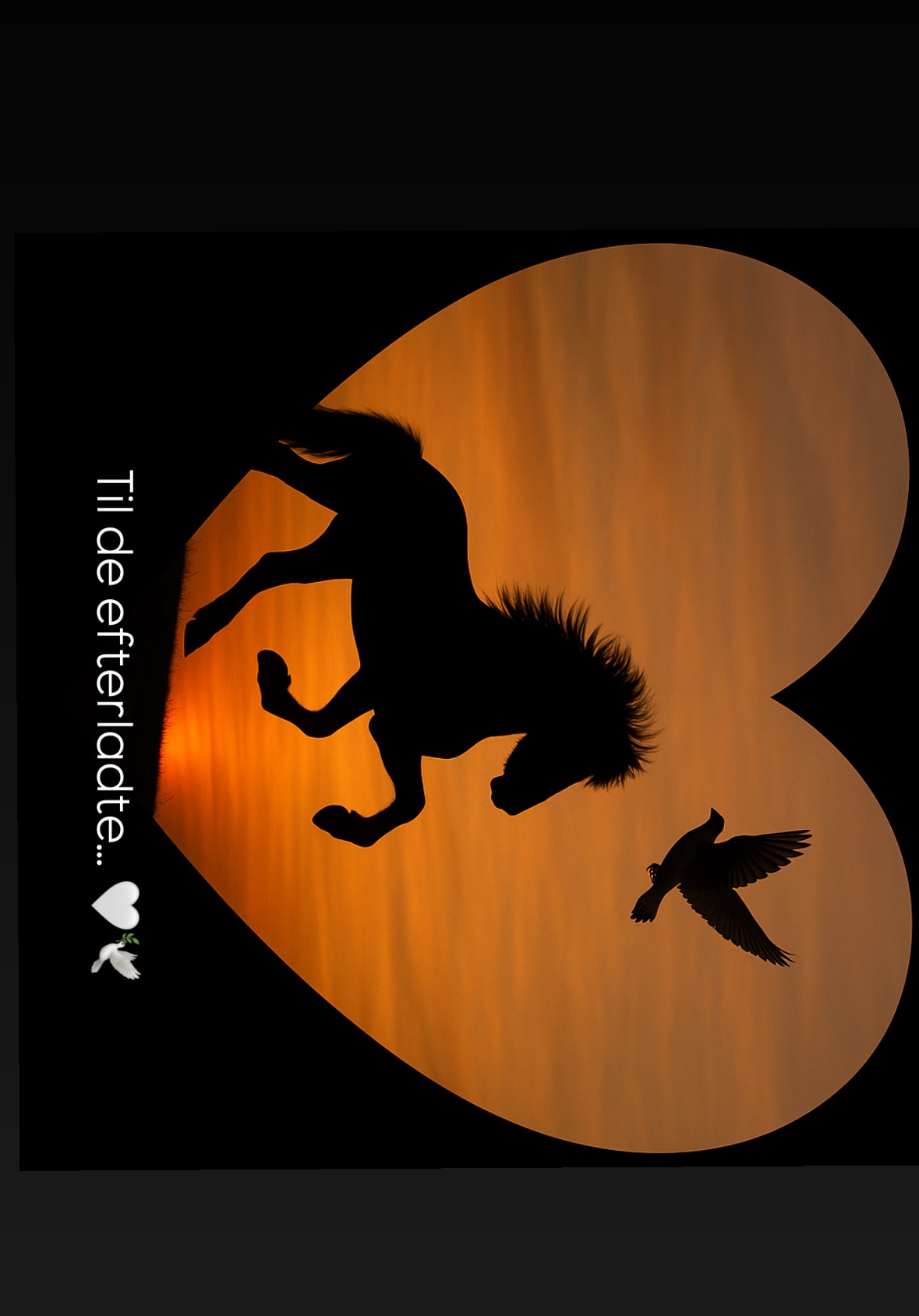 User-uploaded image 1