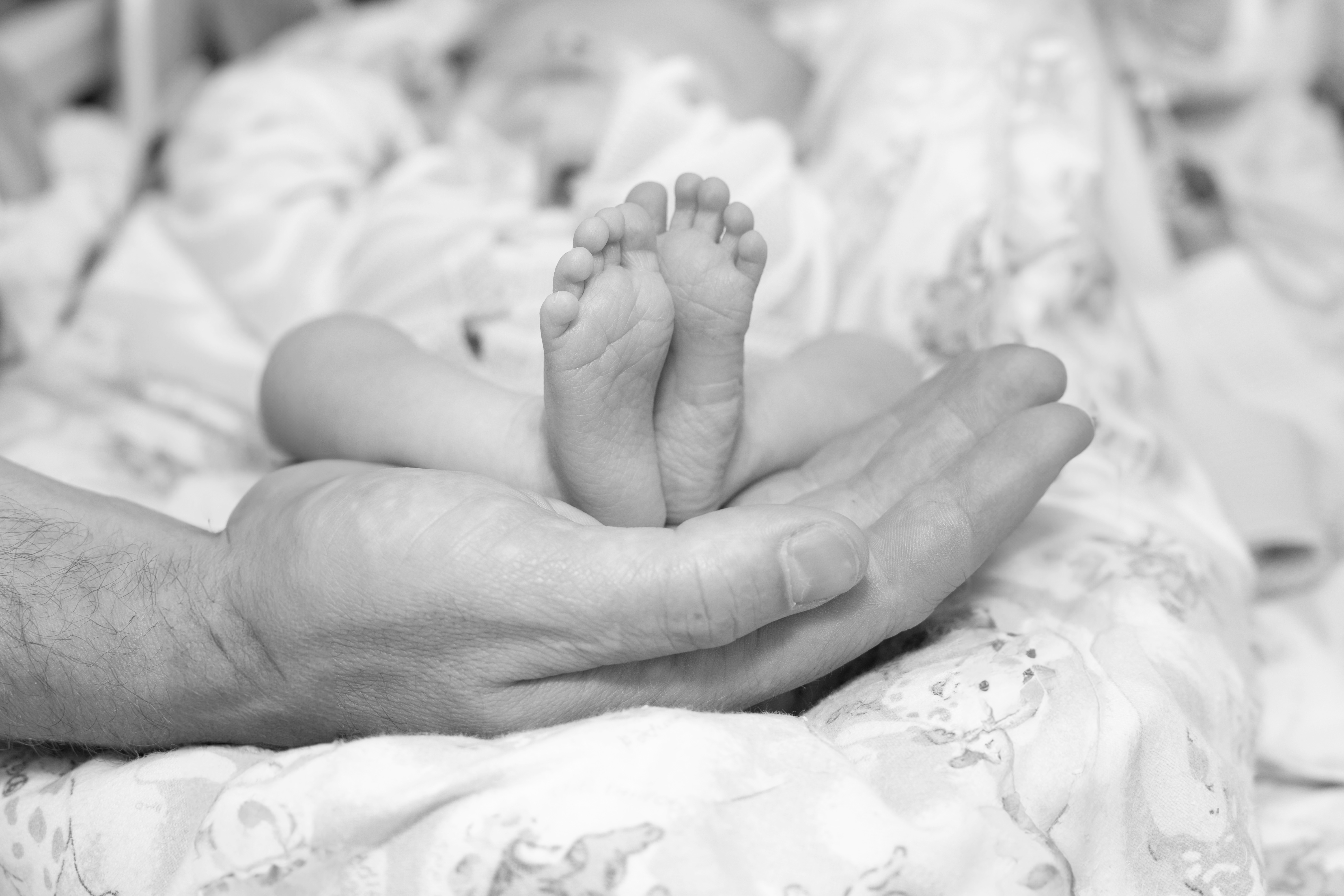 User-uploaded image 1