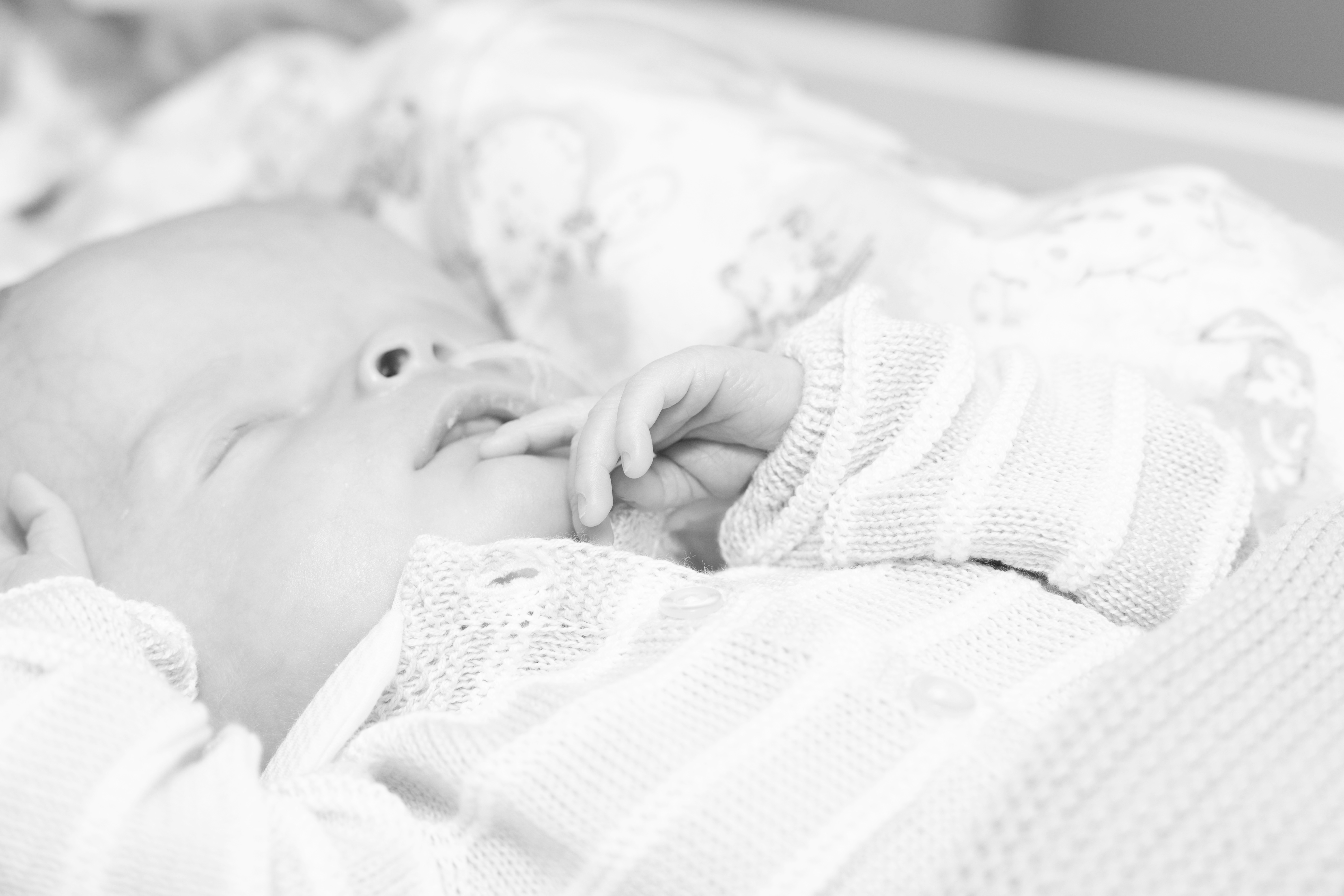 User-uploaded image 5