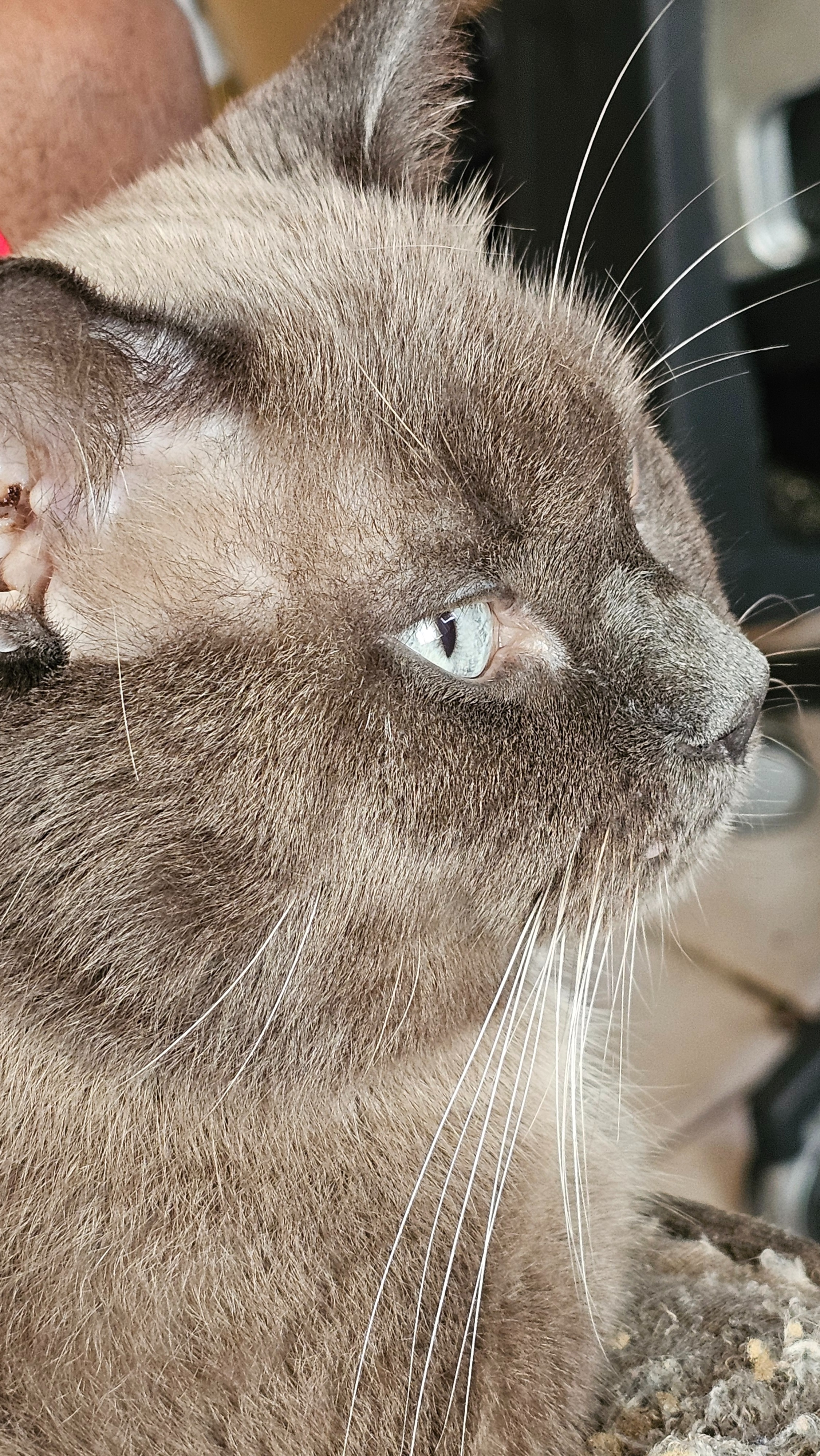 User-uploaded image 1