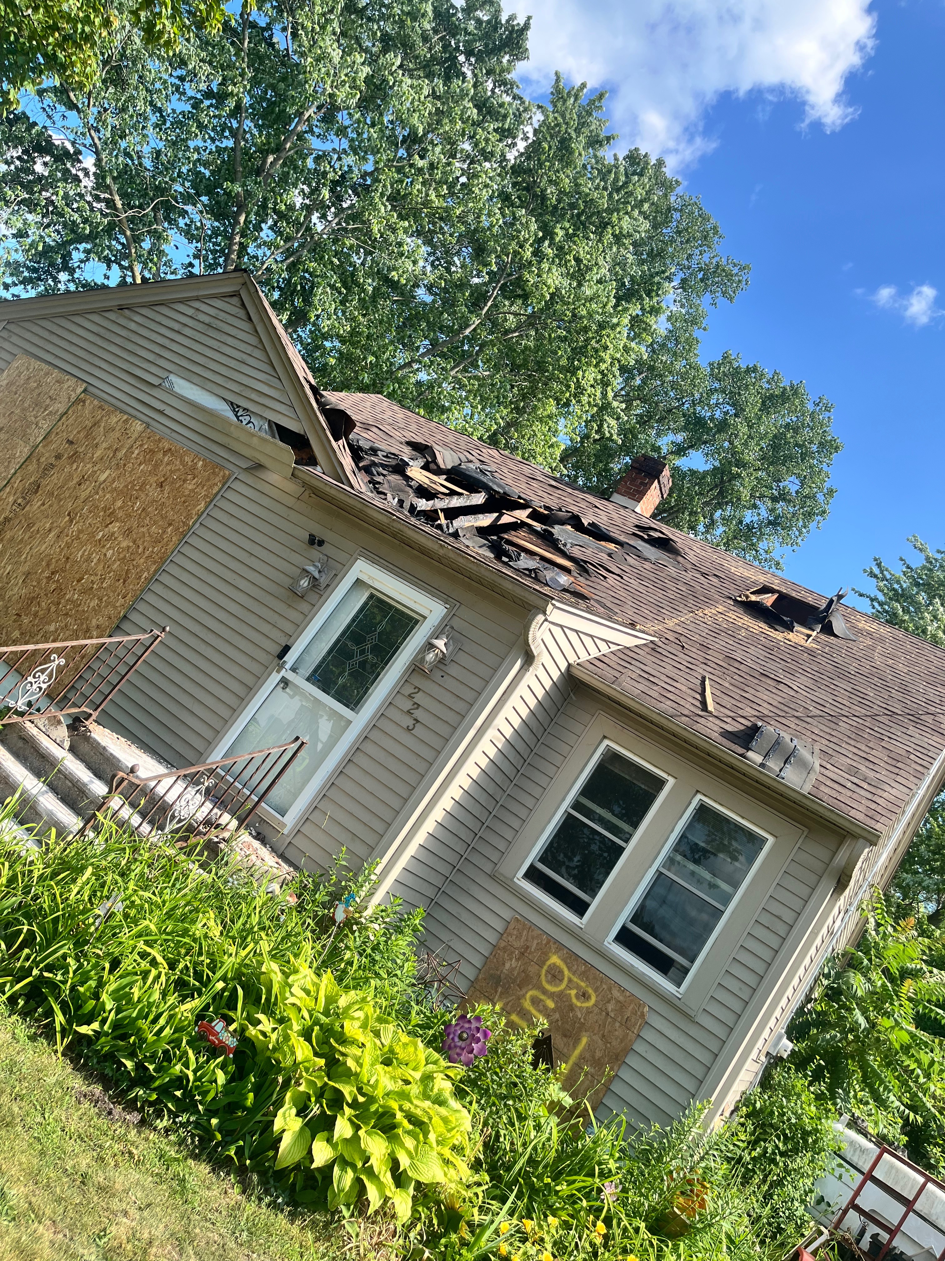 User-uploaded image 5