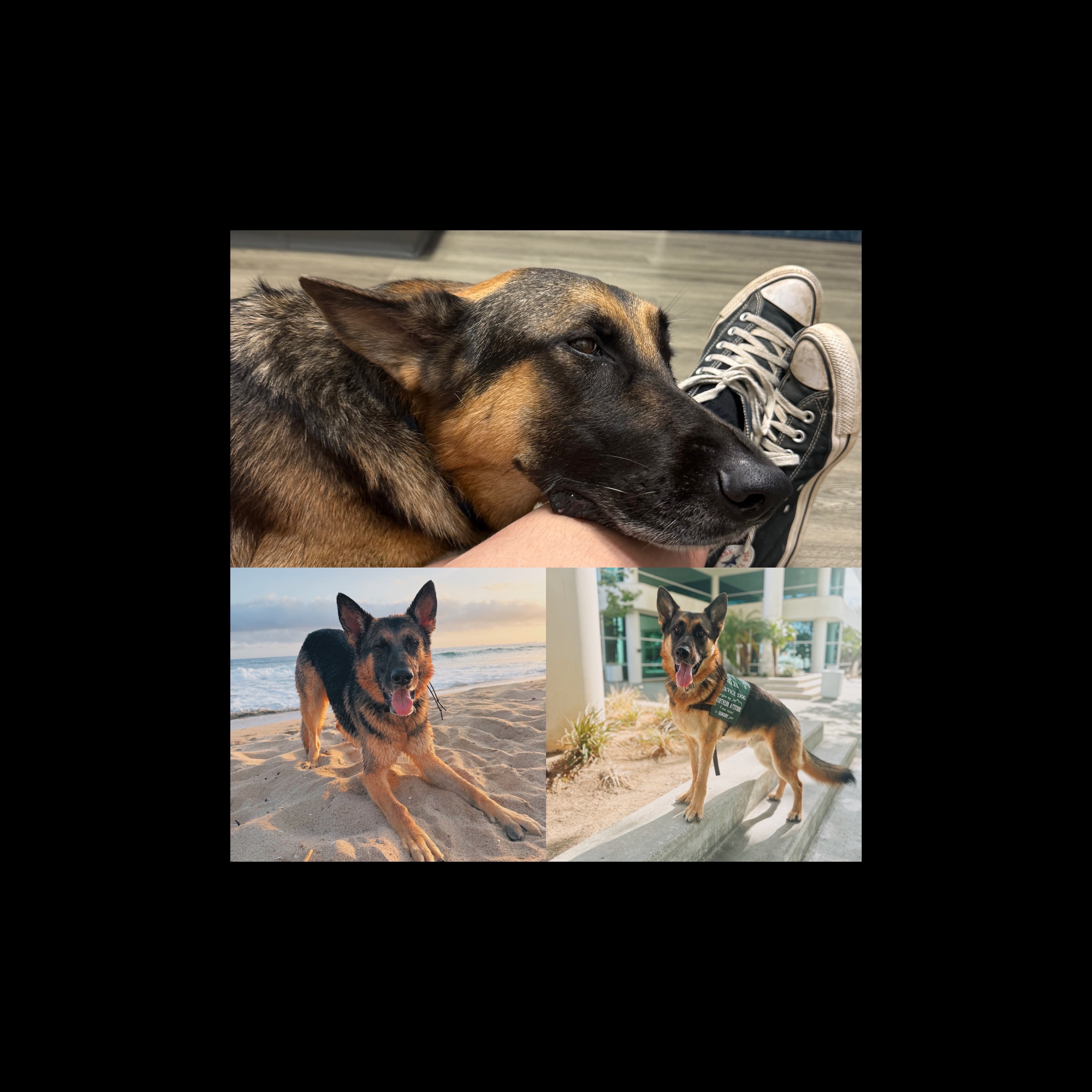 User-uploaded image 1