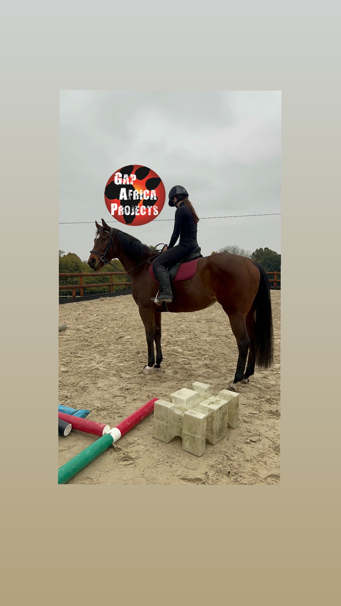 User-uploaded image 1