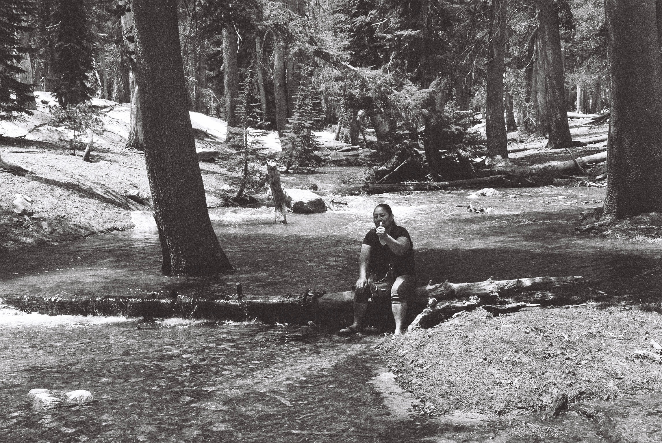 User-uploaded image 3