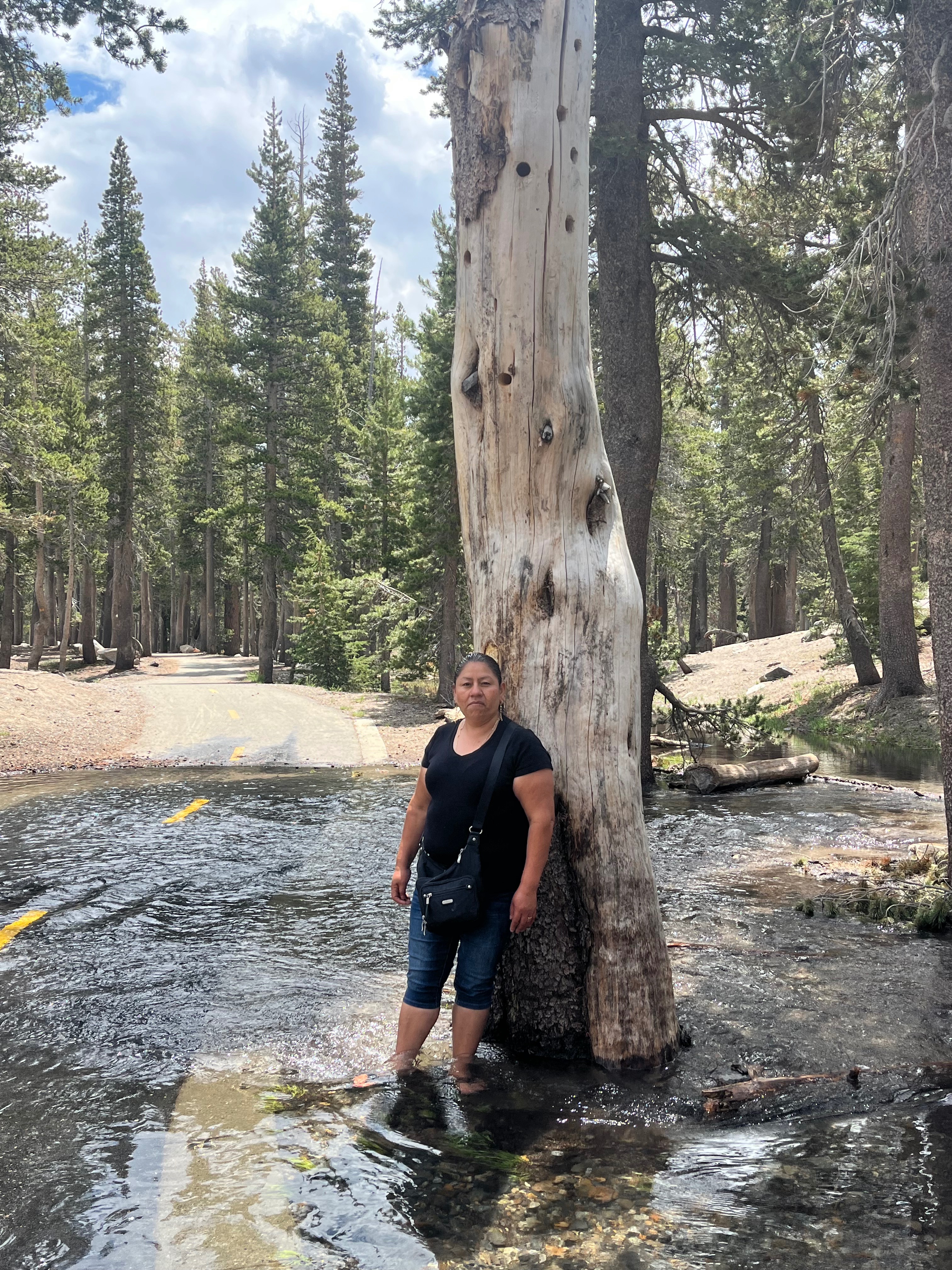 User-uploaded image 5