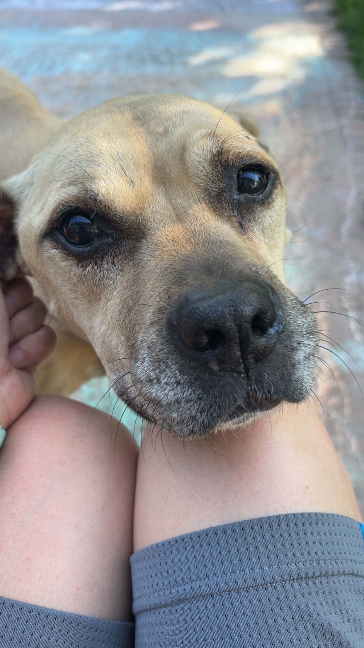 User-uploaded image 1