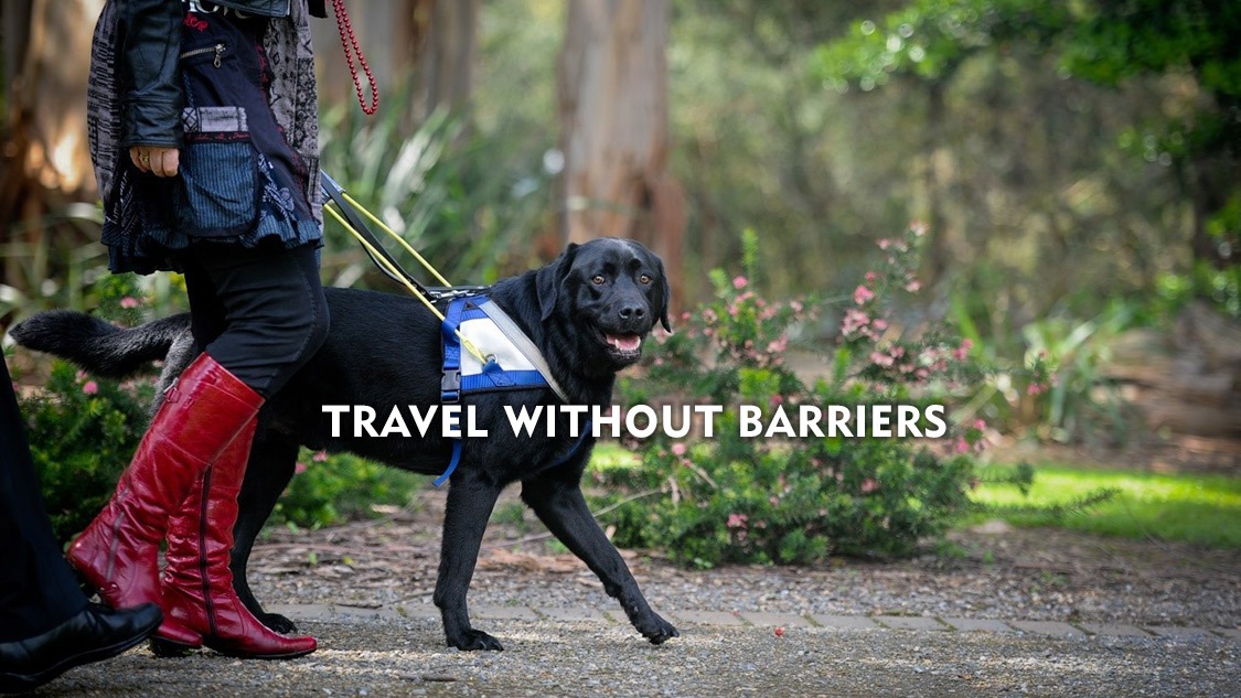 Support TravelPaws campaign photo, 5 of 6