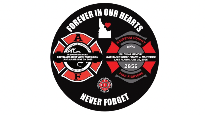 User-uploaded image 1