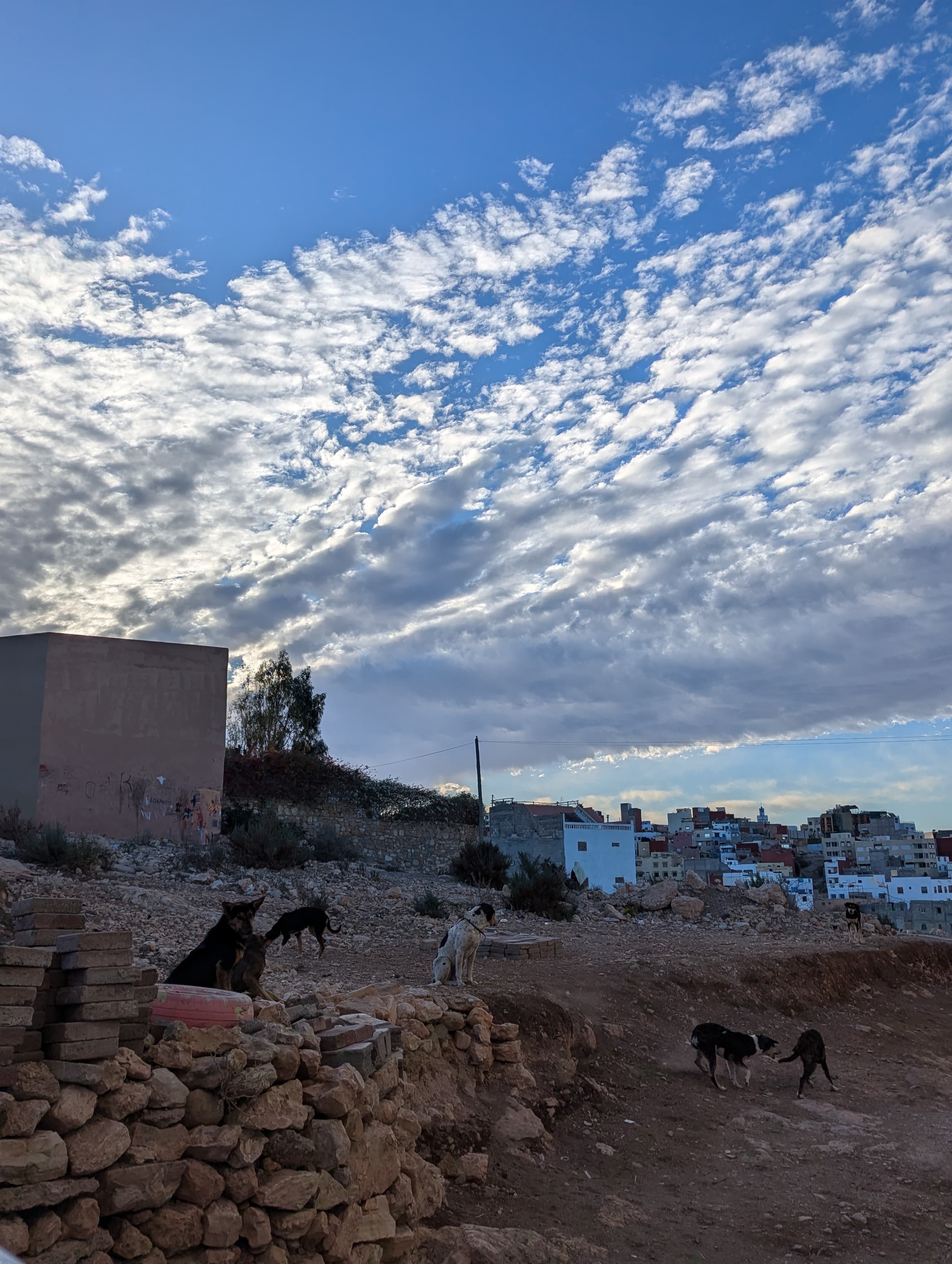 User-uploaded image 1