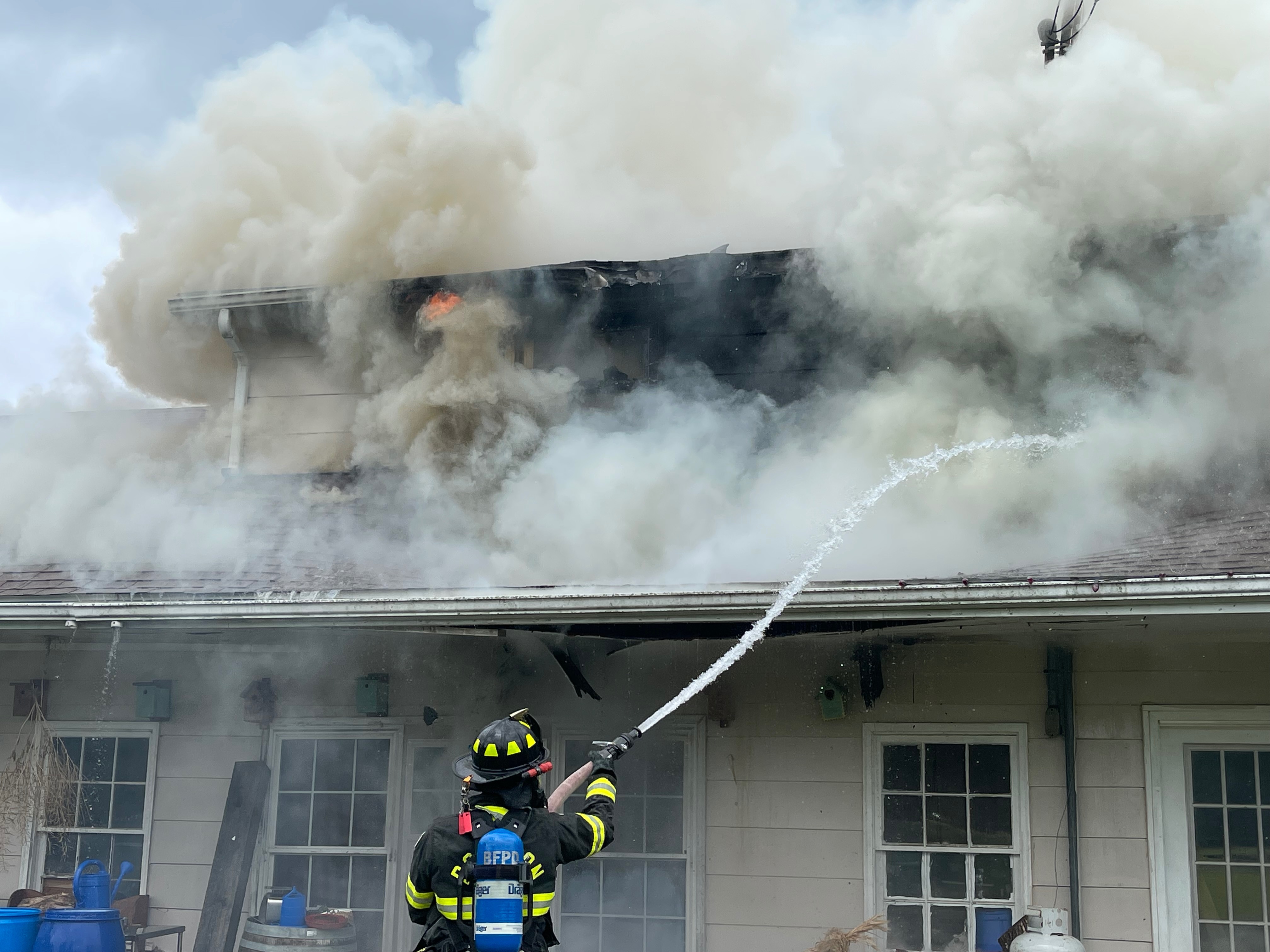 User-uploaded image 1