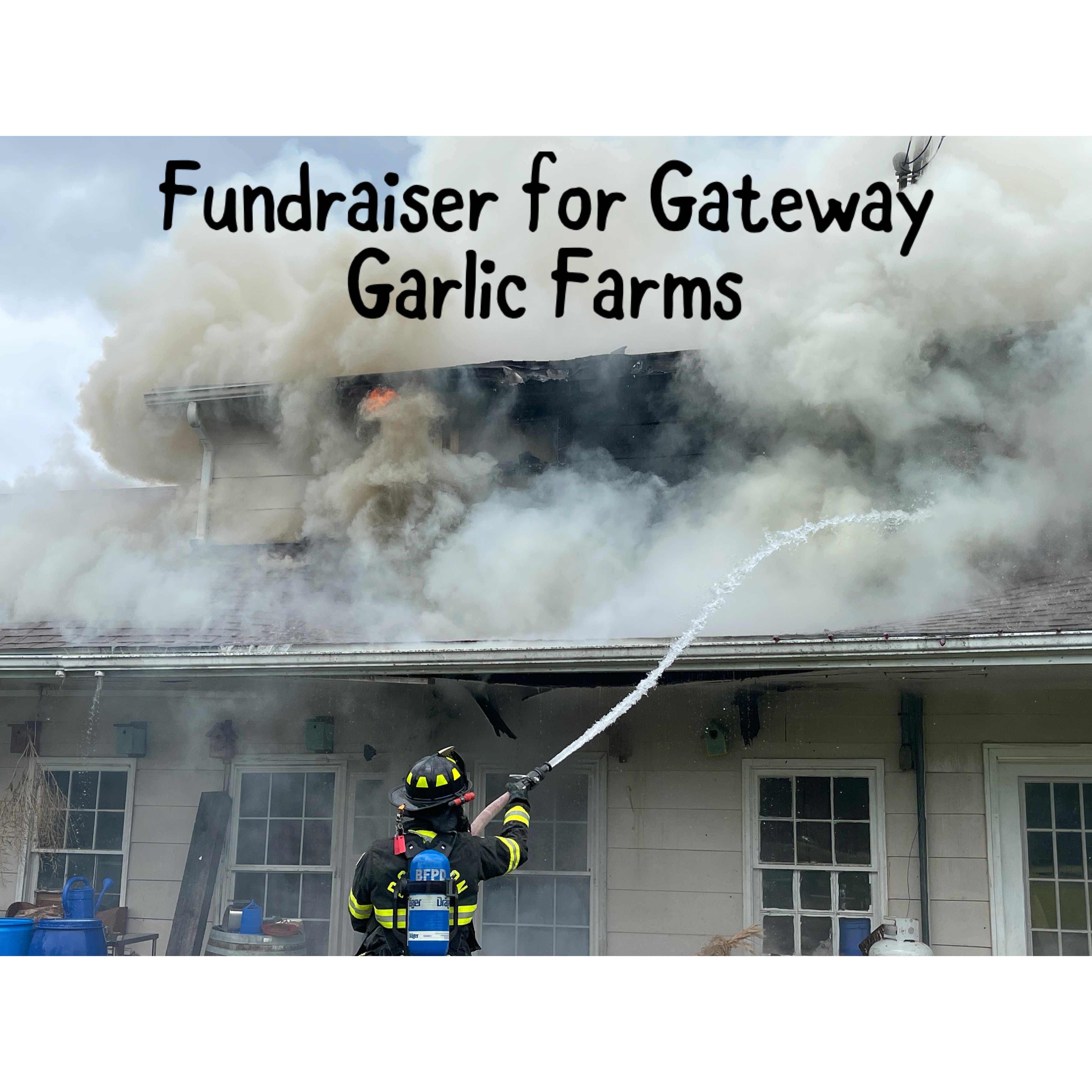 User-uploaded image 2