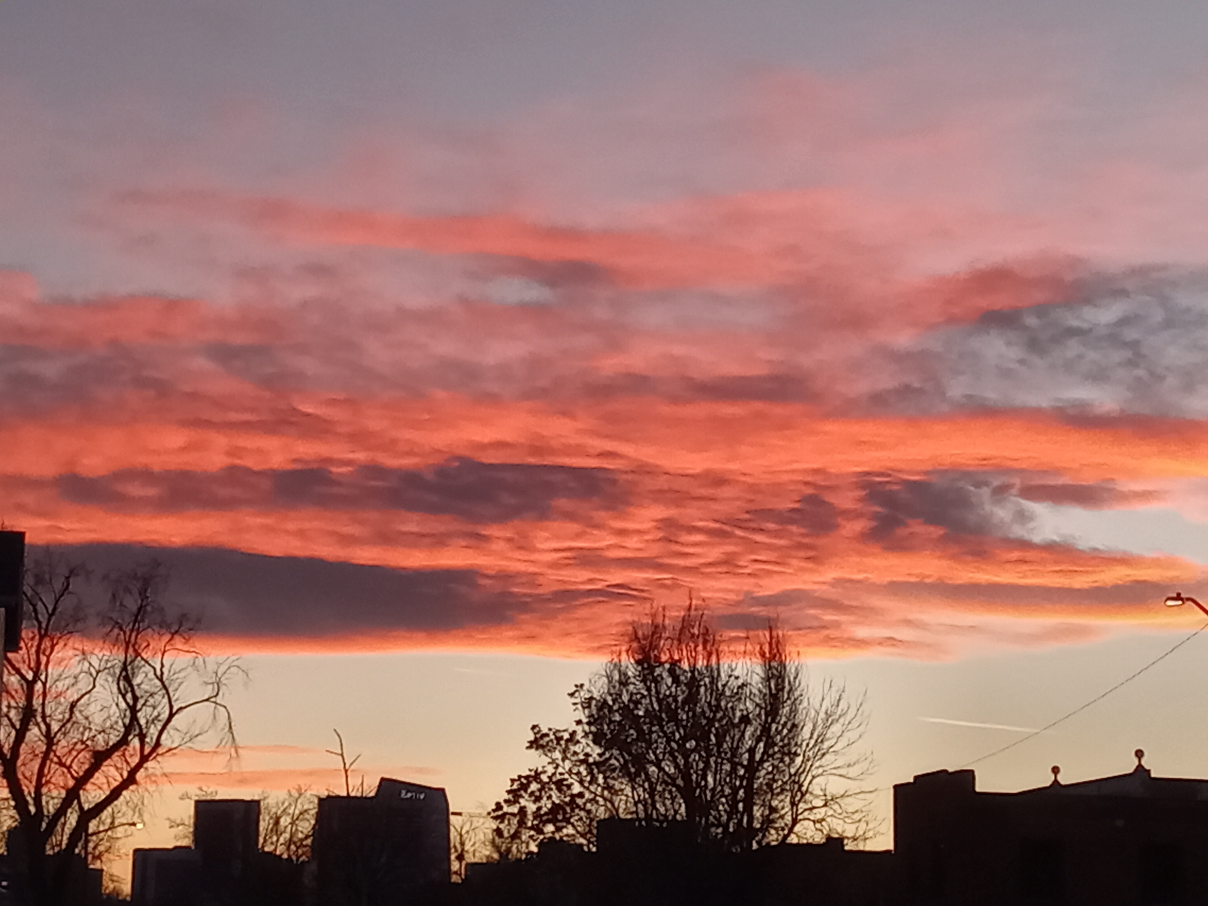 User-uploaded image 1