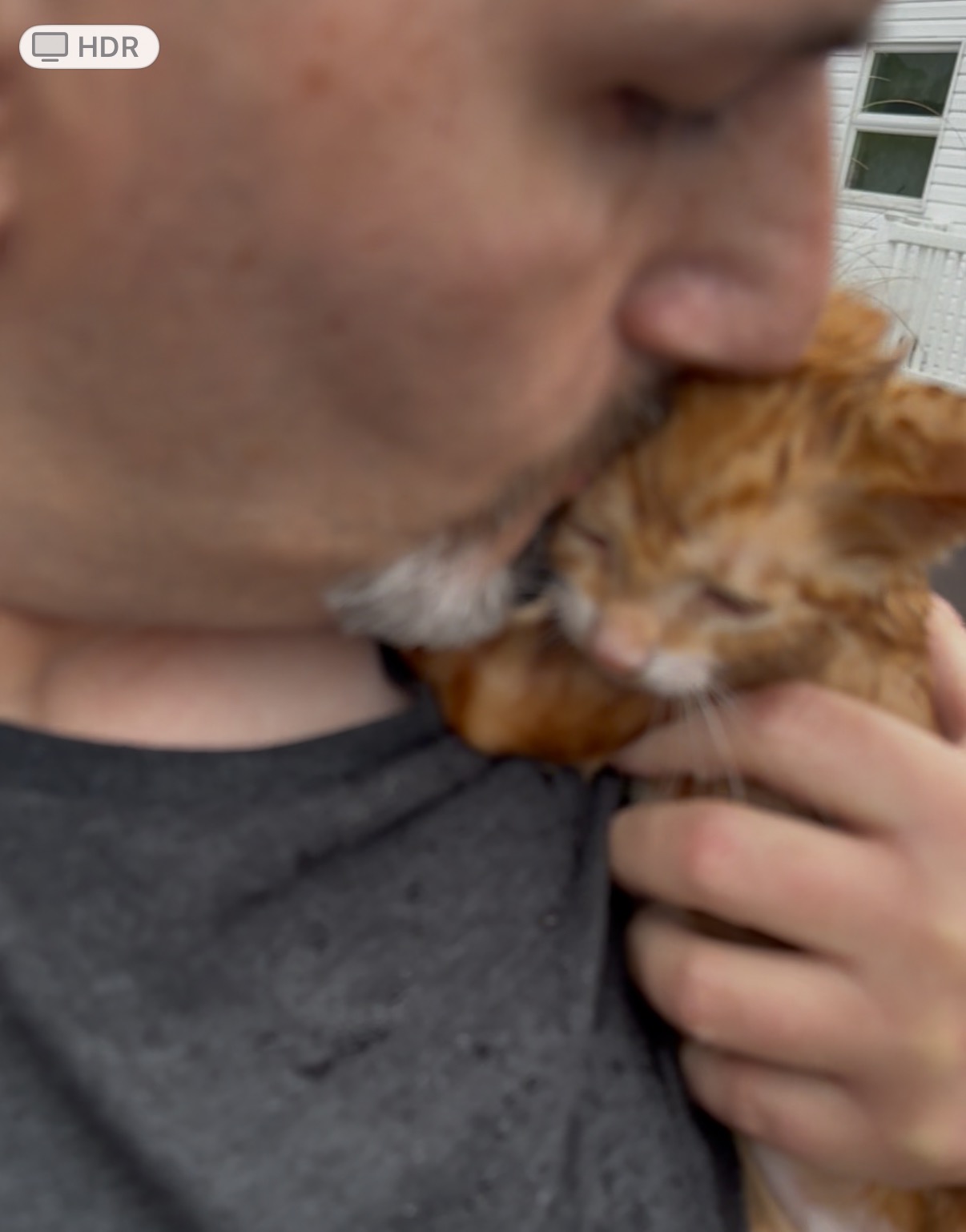 User-uploaded image 1