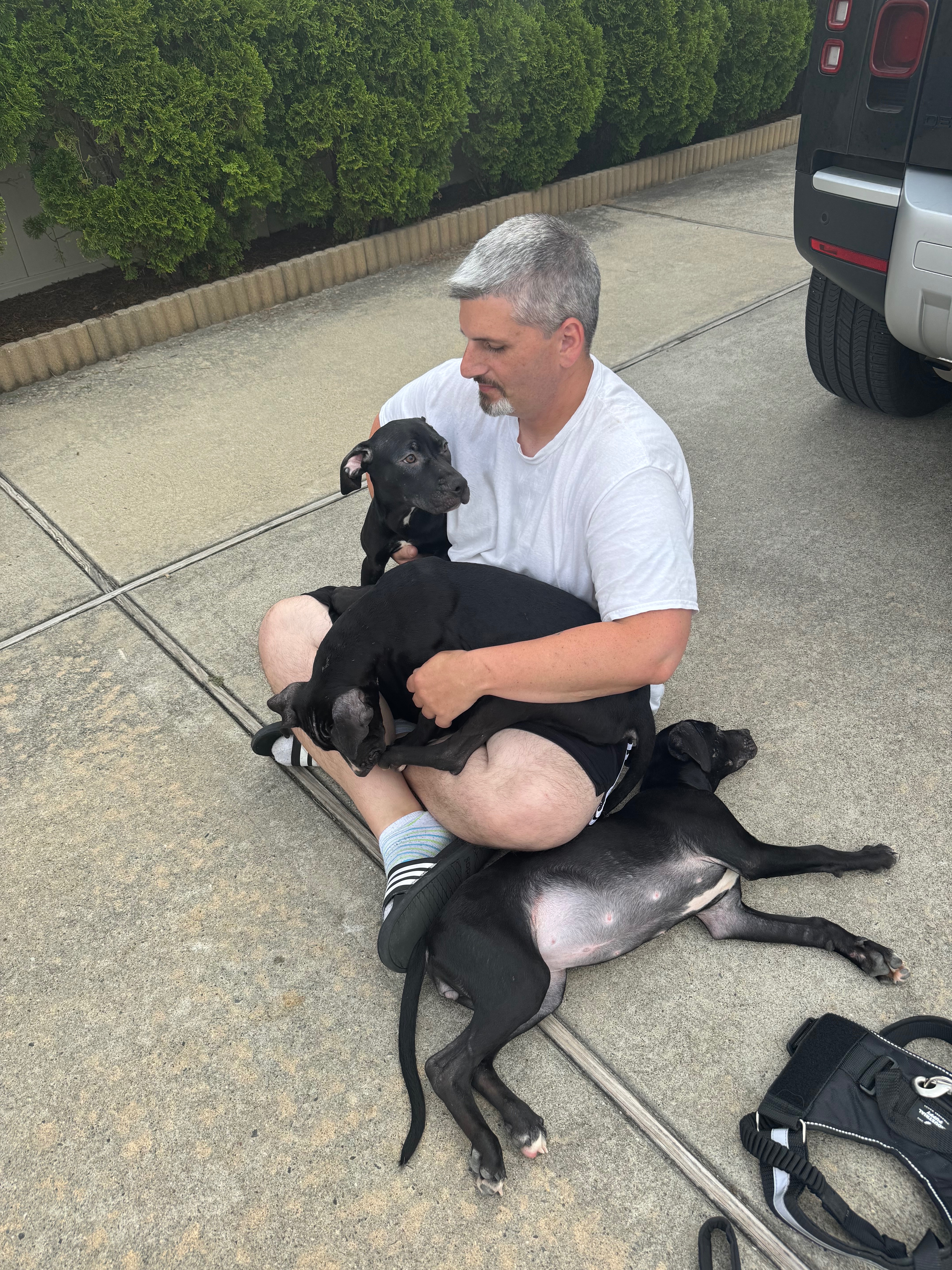 User-uploaded image 5