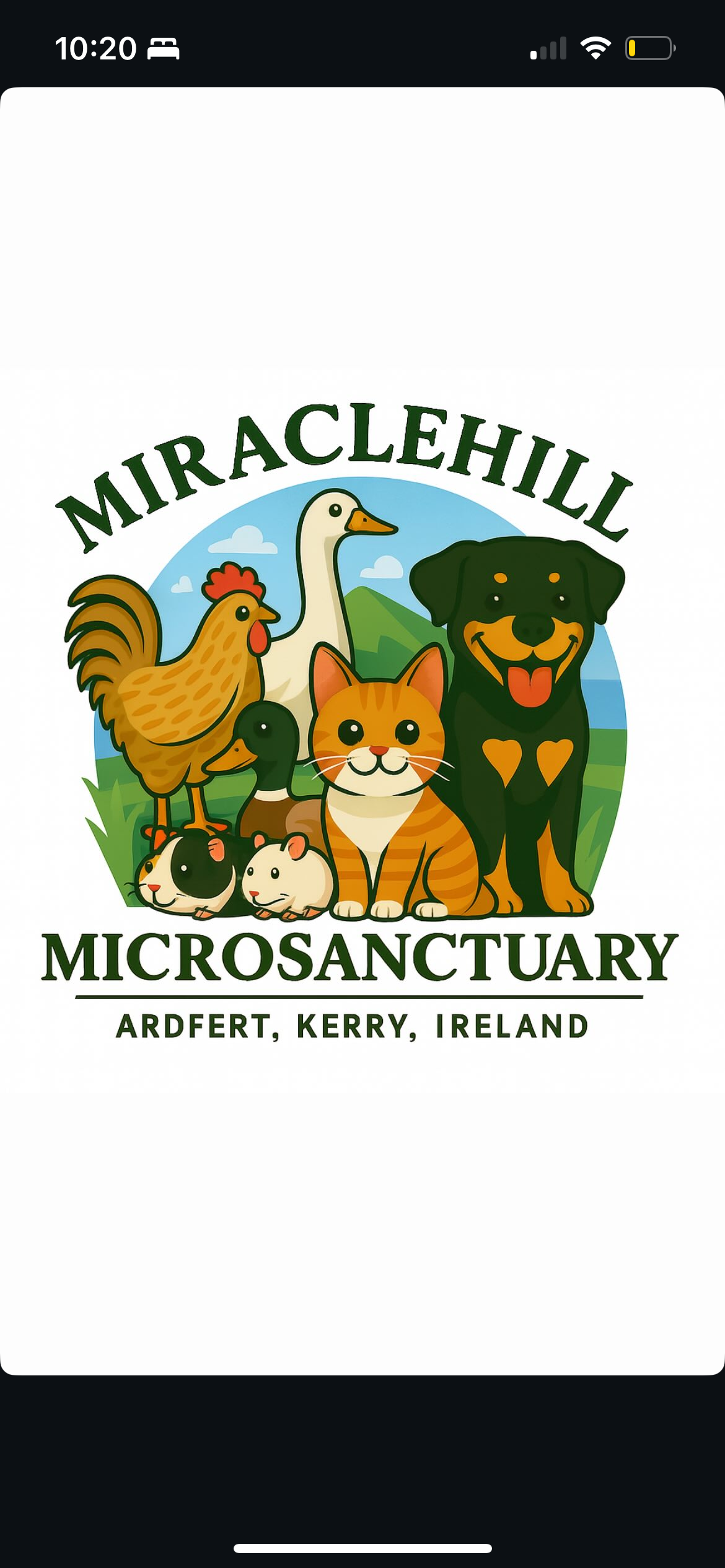 Help Miraclehill cover emergency Vet fee’s campaign photo, 6 of 8