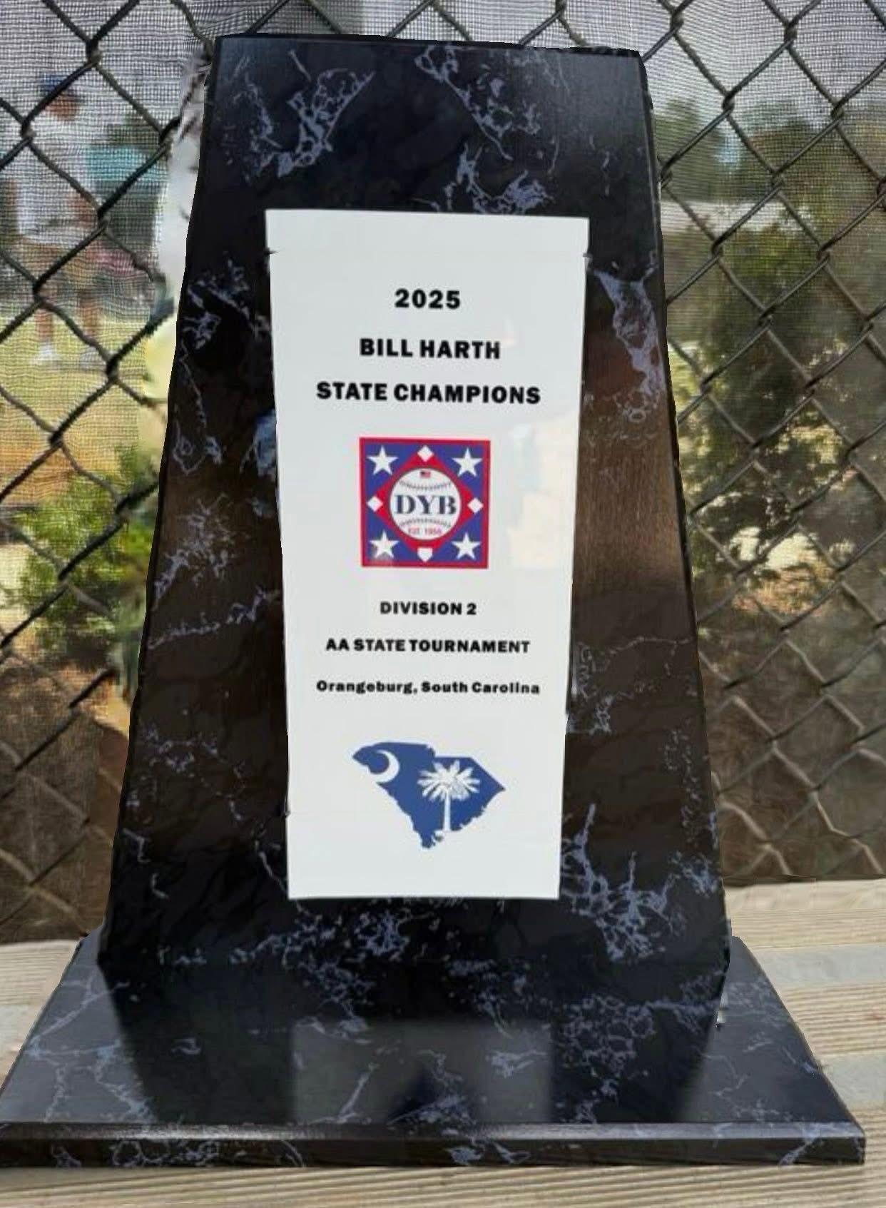 South Carolina Boys Aim For DYB World Series Dreams campaign photo, 6 of 6