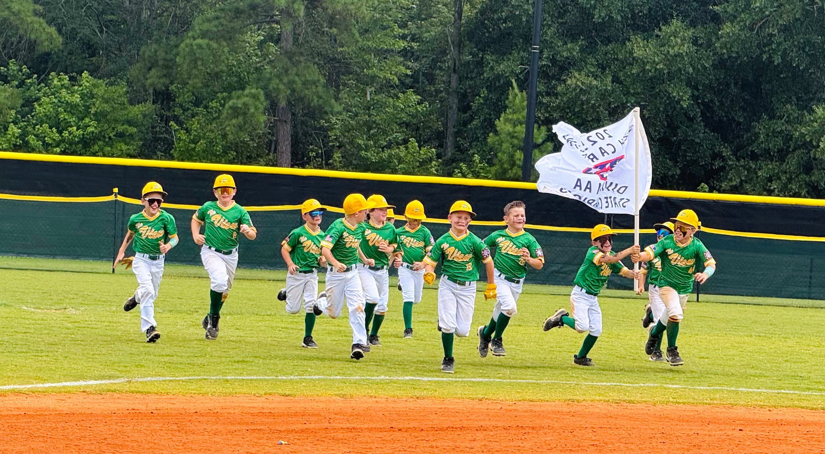 South Carolina Boys Aim For DYB World Series Dreams campaign photo, 2 of 6