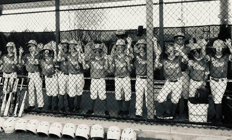 South Carolina Boys Aim For DYB World Series Dreams campaign photo, 4 of 6