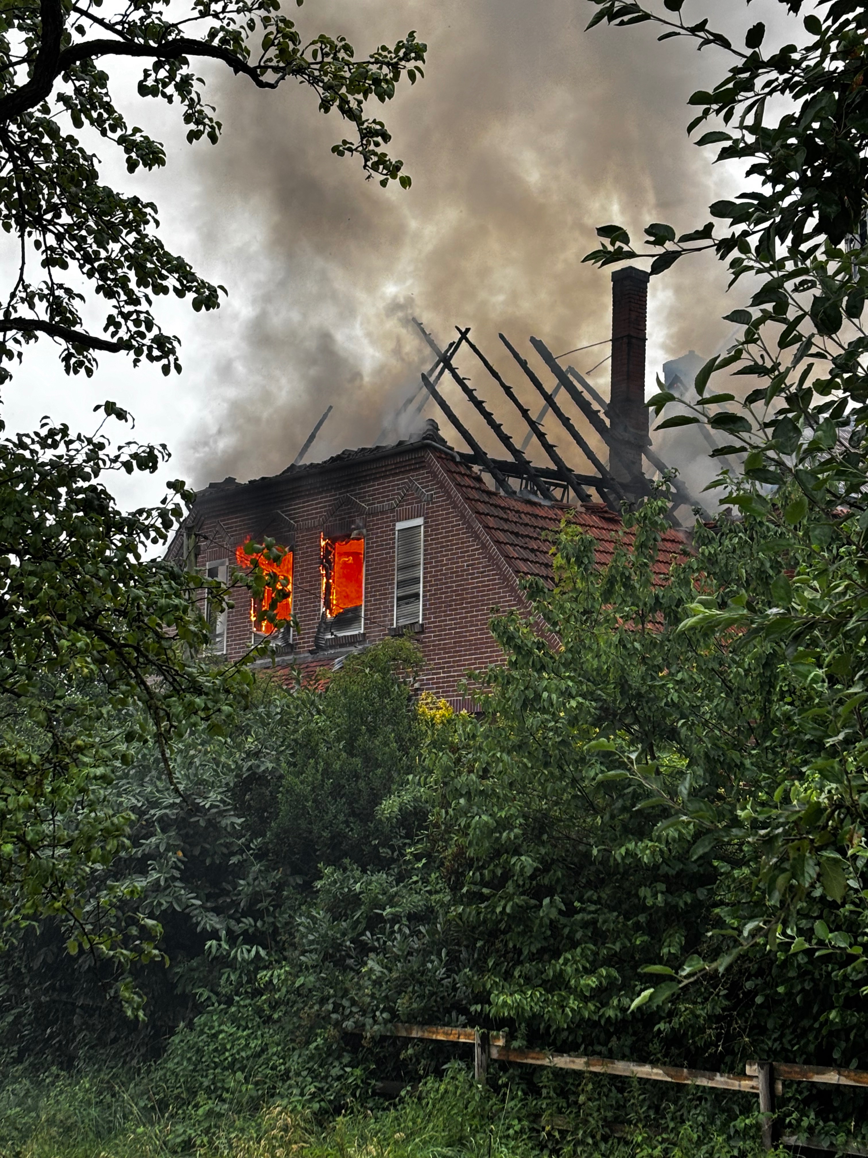 User-uploaded image 1