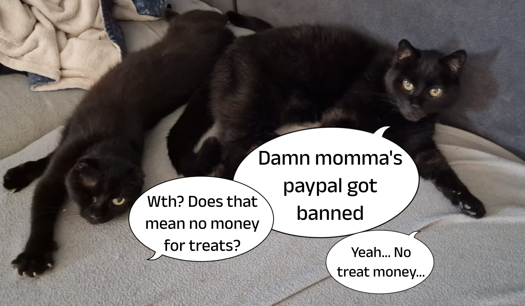 My Paypal got banned, now I need a lawyer :D campaign photo, 4 of 4