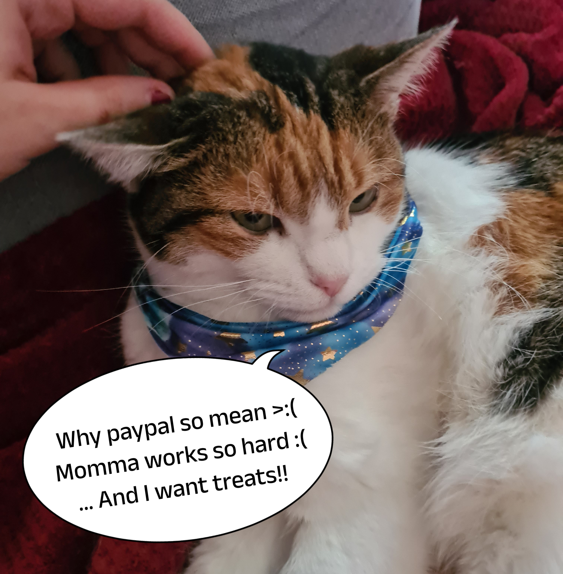 My Paypal got banned, now I need a lawyer :D campaign photo, 2 of 4