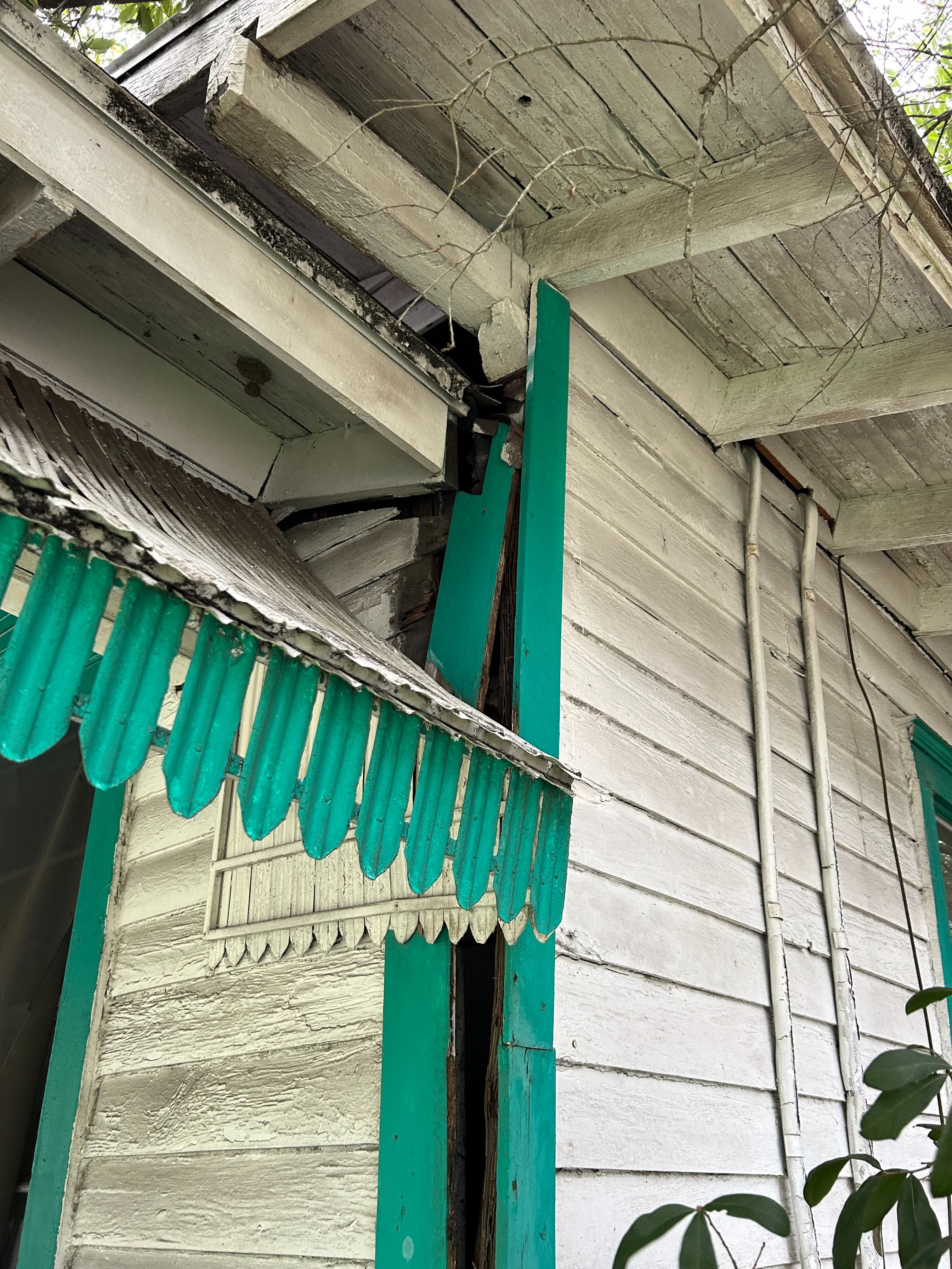 User-uploaded image 1