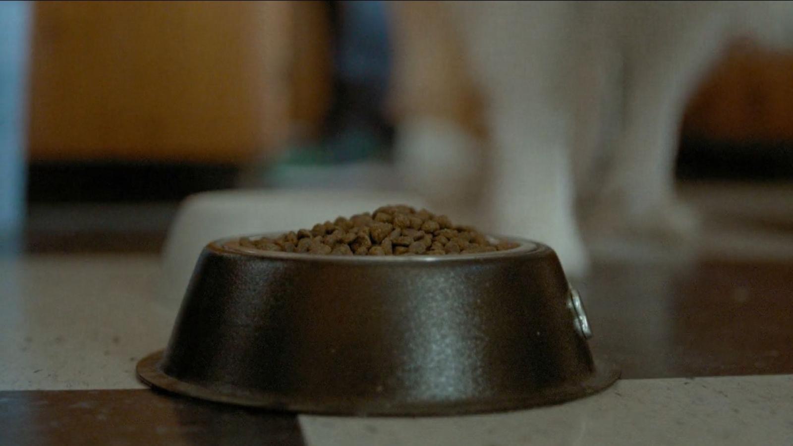 ‘Cat Food’ Short Film Production campaign photo, 2 of 4
