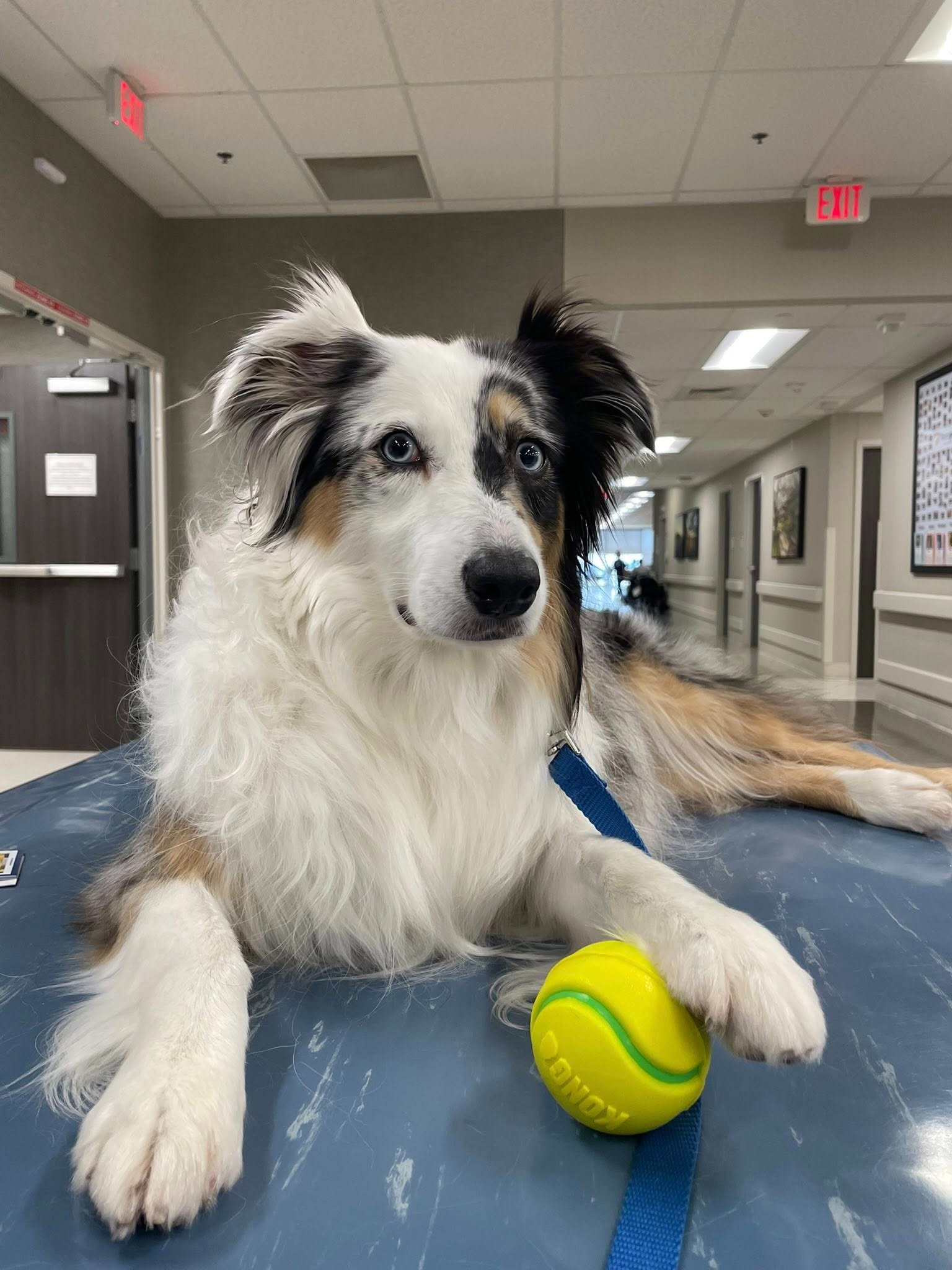 Raise Funds for Hart's Surgery campaign photo, 5 of 8