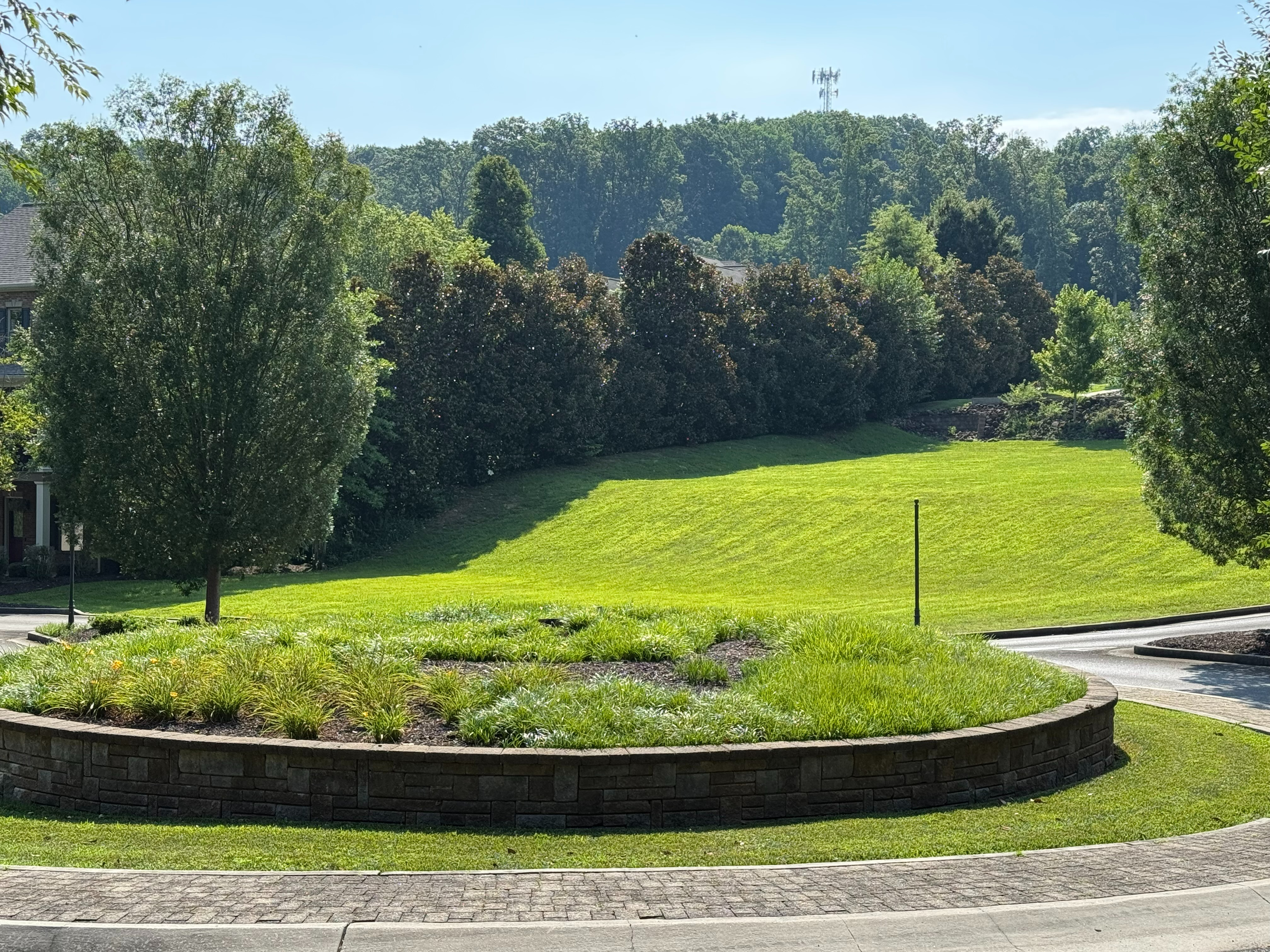 Help Preserve Spring Creek's Neighborhood Character campaign photo, 2 of 4